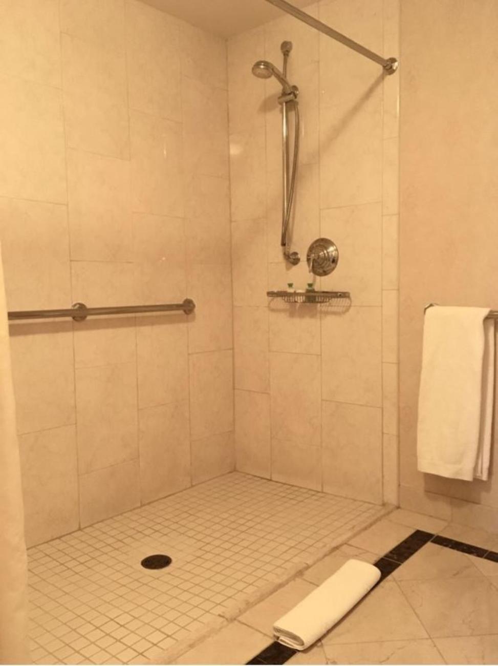 King Room Roll Shower Disability Access,1770494911:JPEG