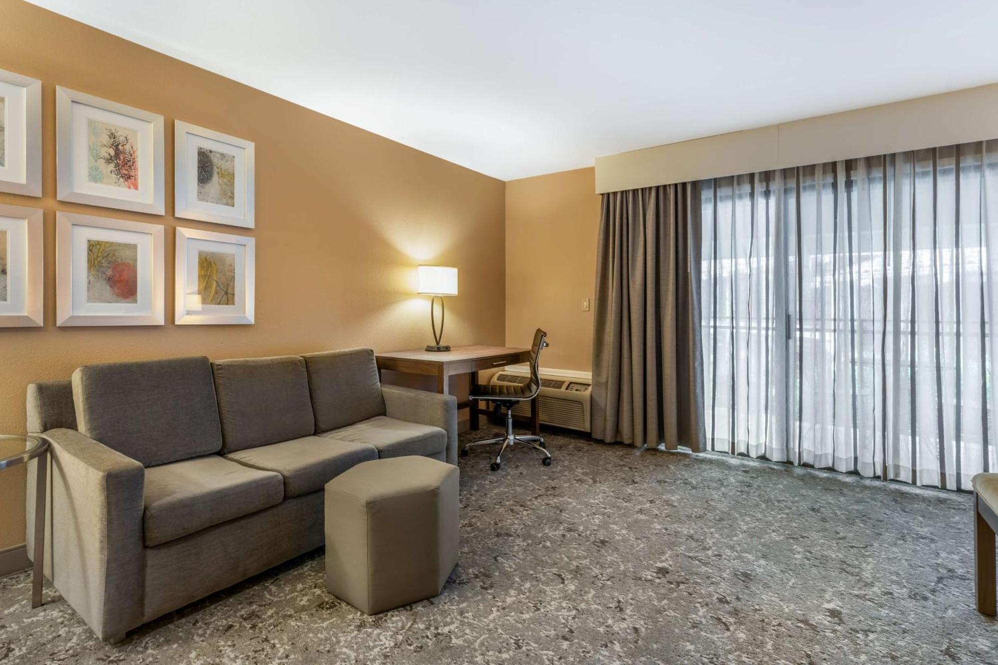 King Room - Pet Friendly/Non-Smoking
