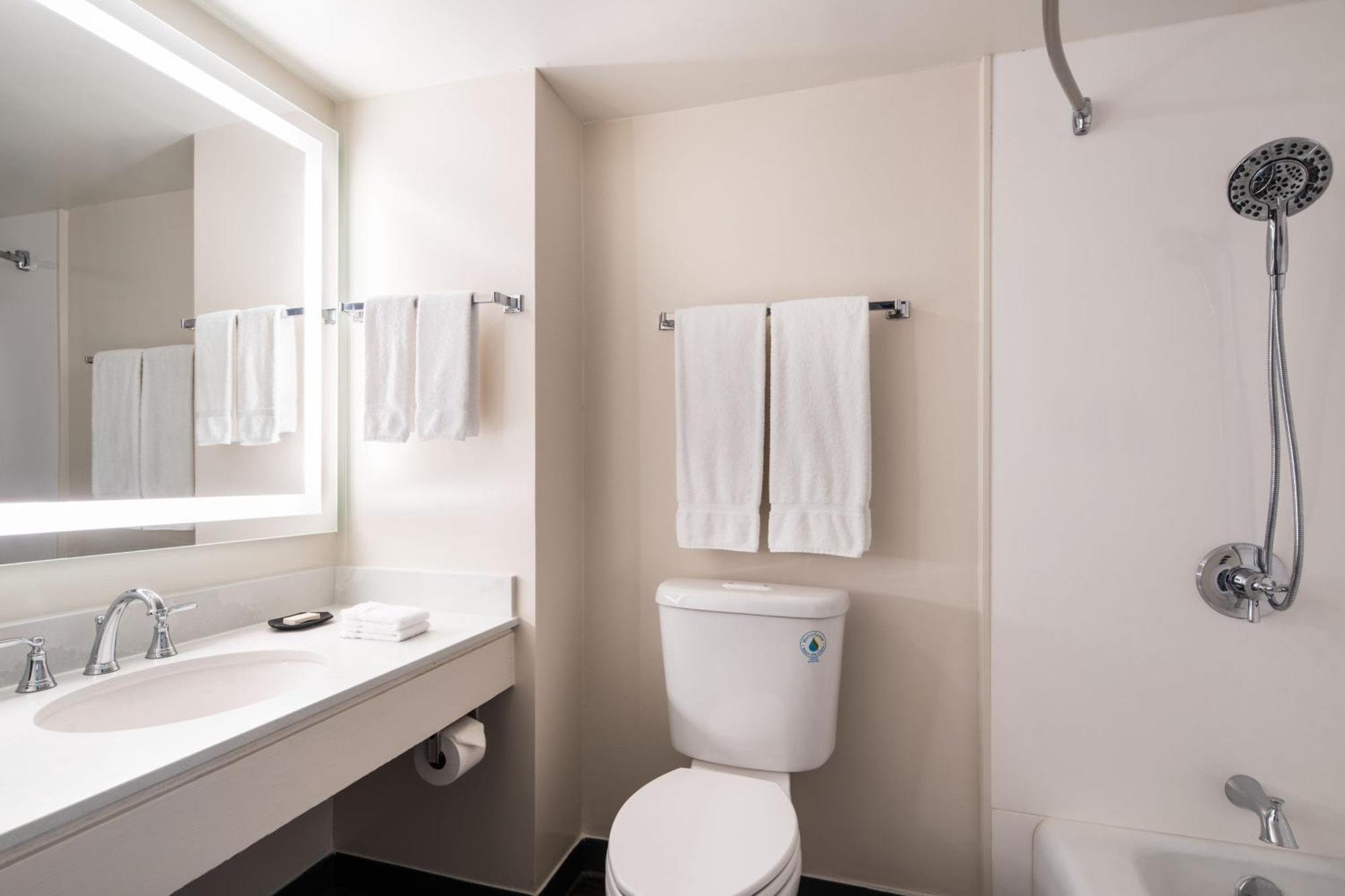 Newly Renovated Tower Standard King