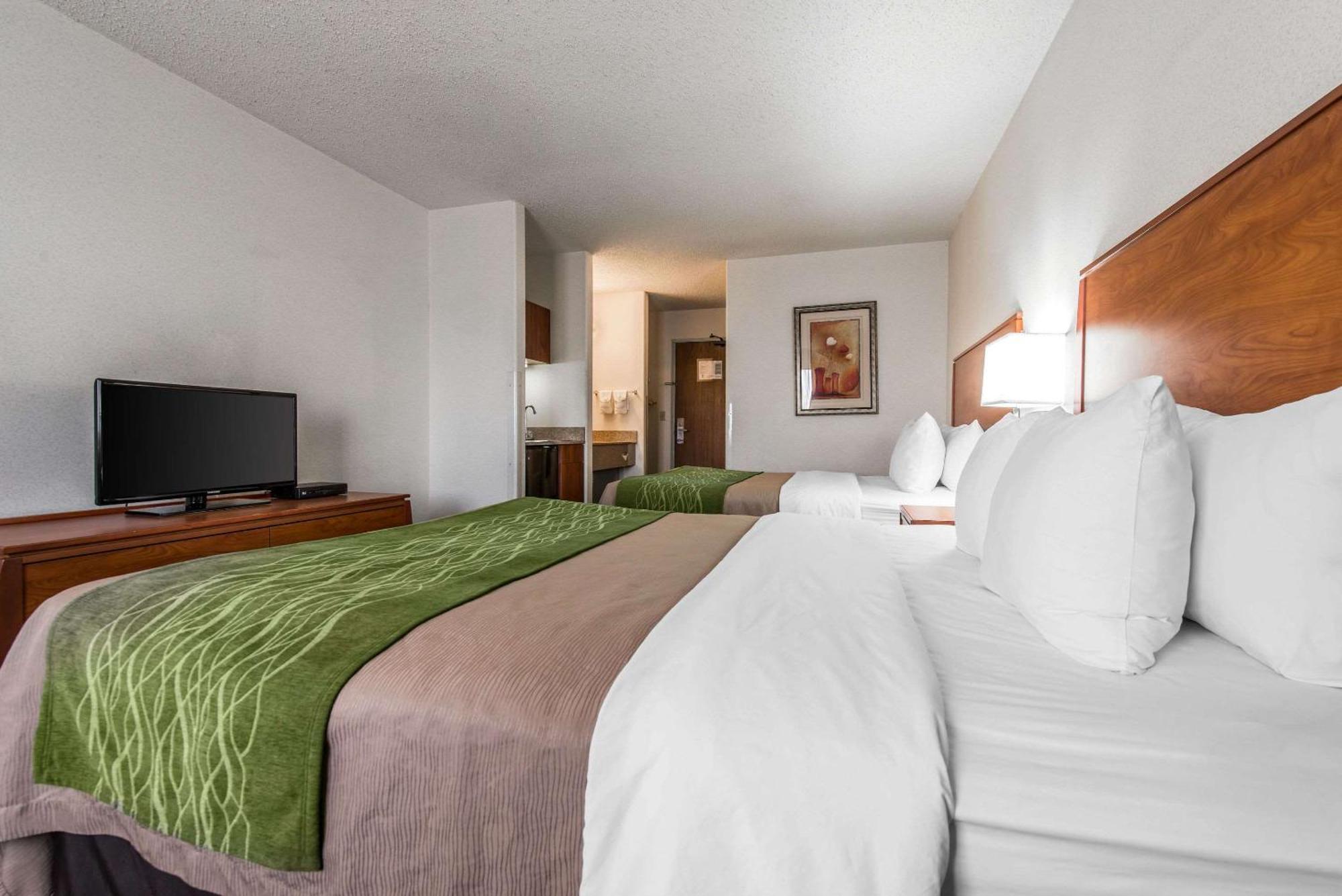 Queen Room with Two Queen Beds - Non Smoking