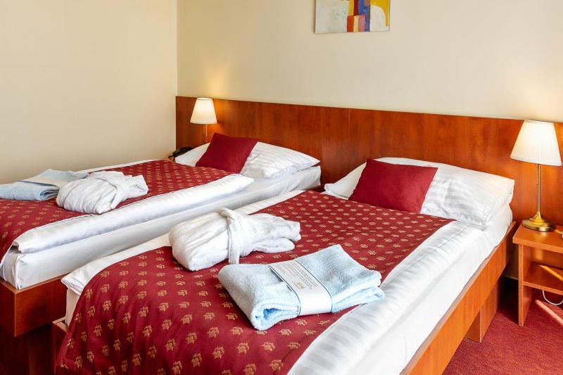 Double or Twin Room Aquapark access