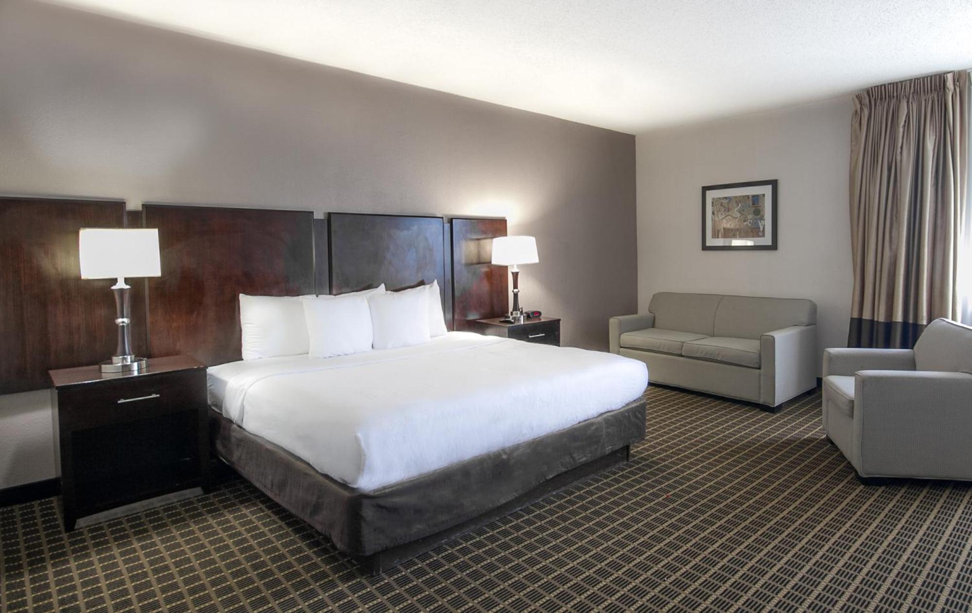 Suite Superior con cama extragrande - No fumadores