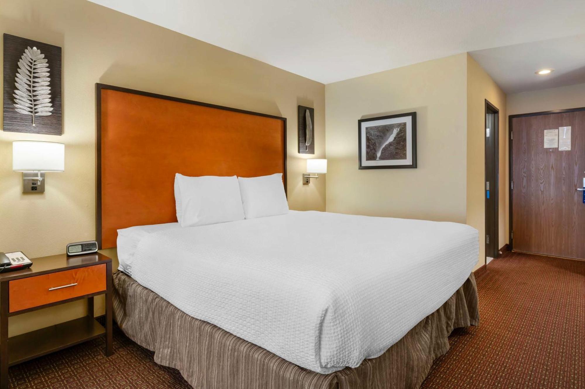 King Room with Roll-in Shower - Disability Access/Non-Smoking