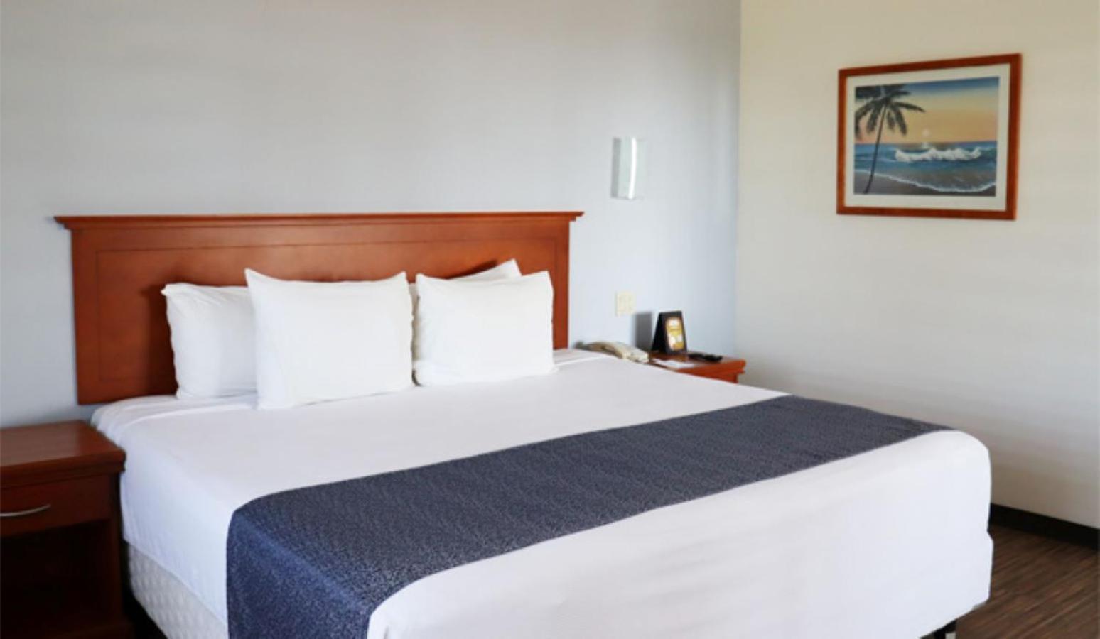 Habitación Estándar - Cama extragrande