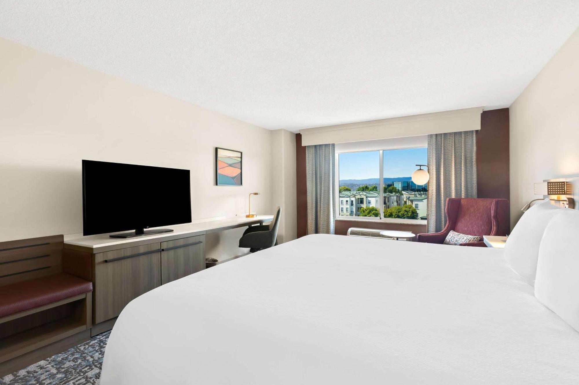 King Room One King Bed