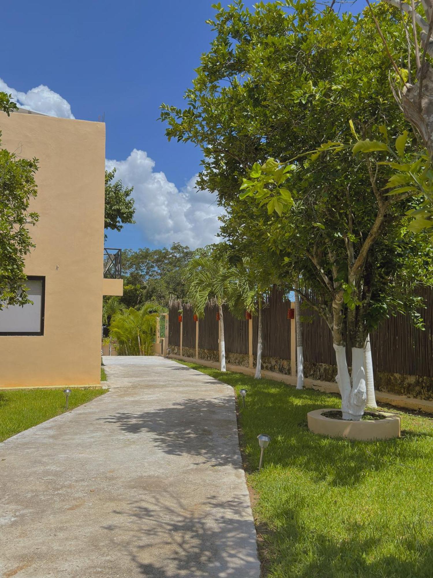 Habitación Estándar - Cama extragrande