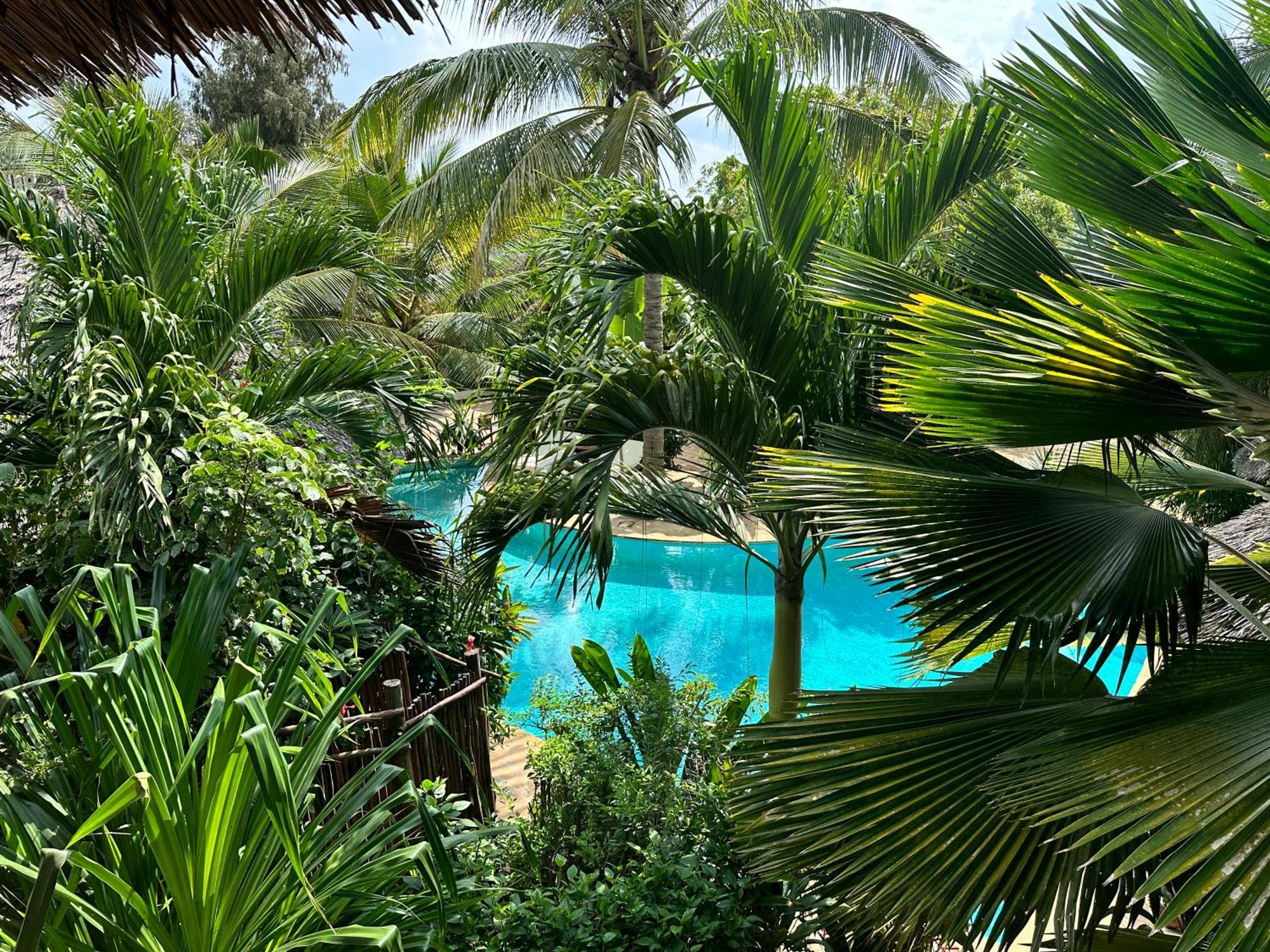 Superior Zimmer oder Familienzimmer mit Gartenblick