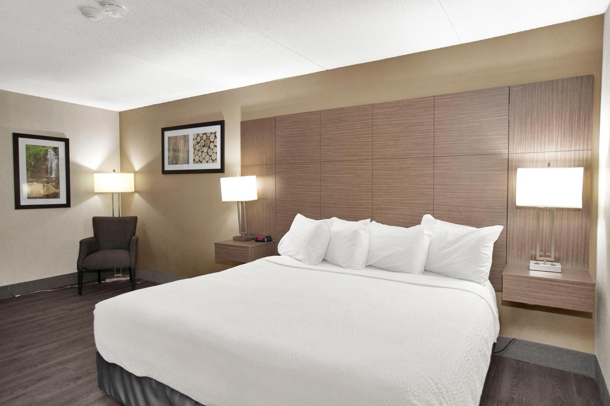 Junior King Suite with Sofa Bed