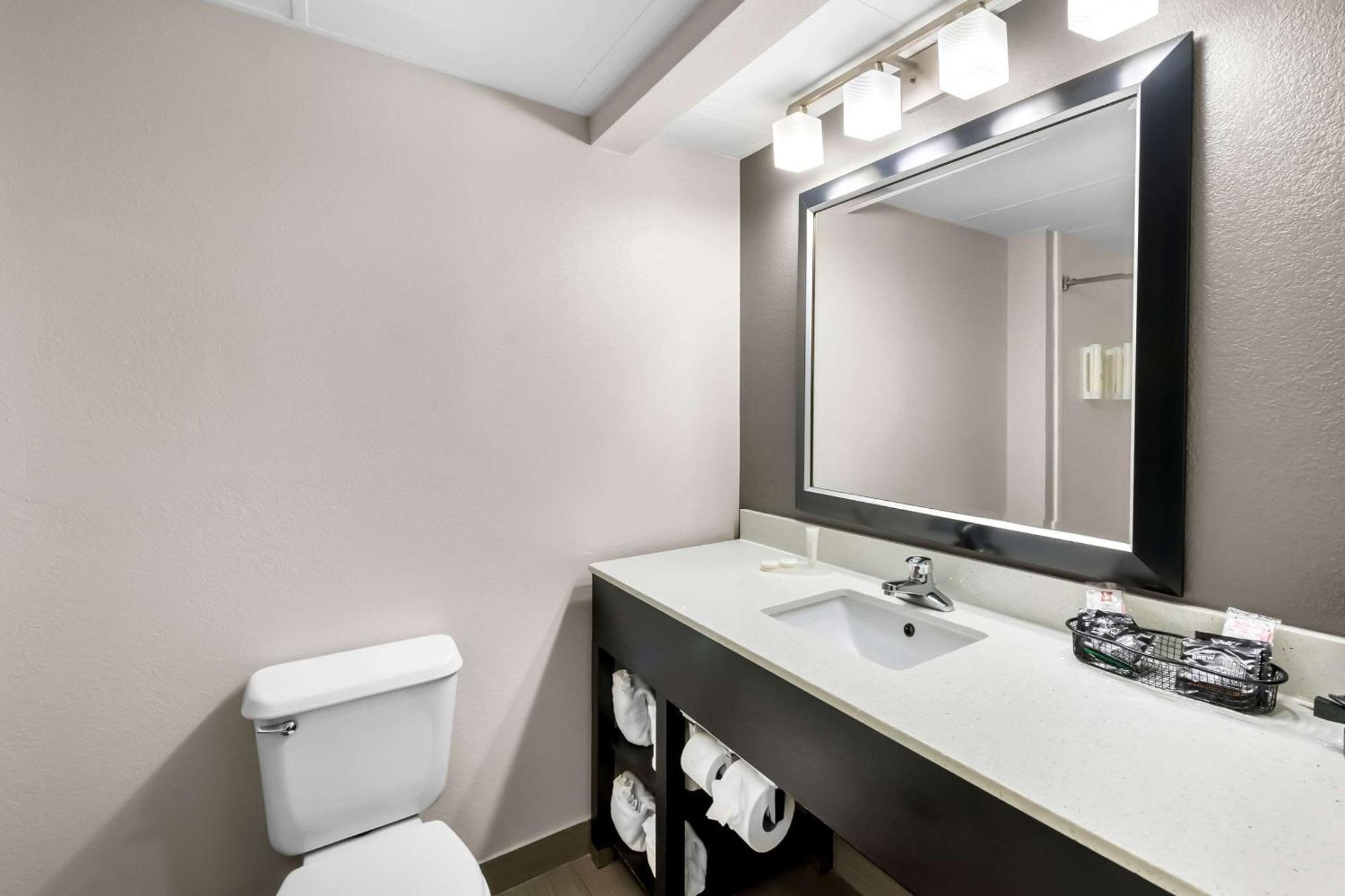 Habitación Estándar con 2 camas extragrandes - No fumadores