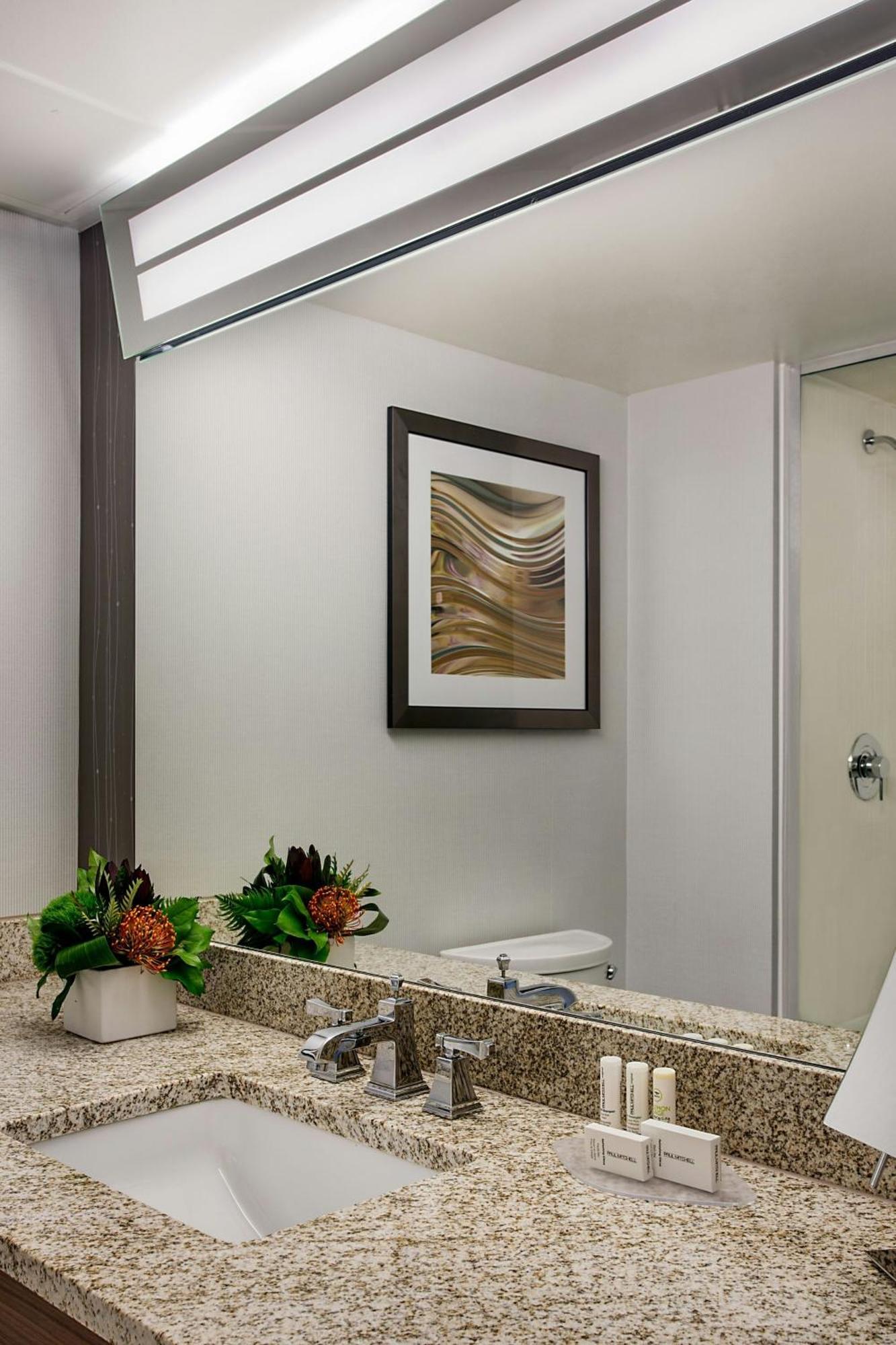 King Room with Roll-In Shower and Sofa Bed - Mobility Access/Hearing Accessible
