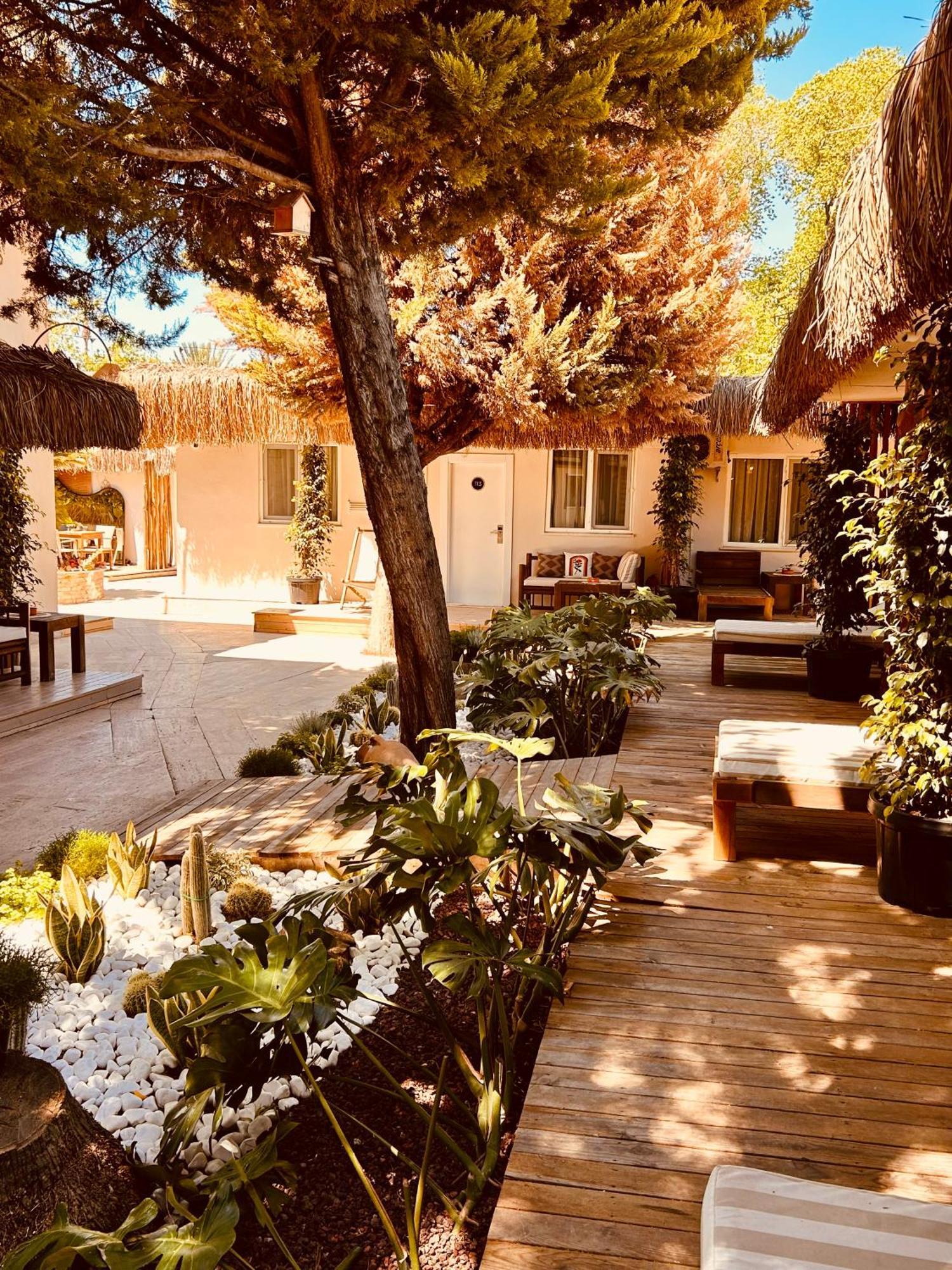 Double Room Patio