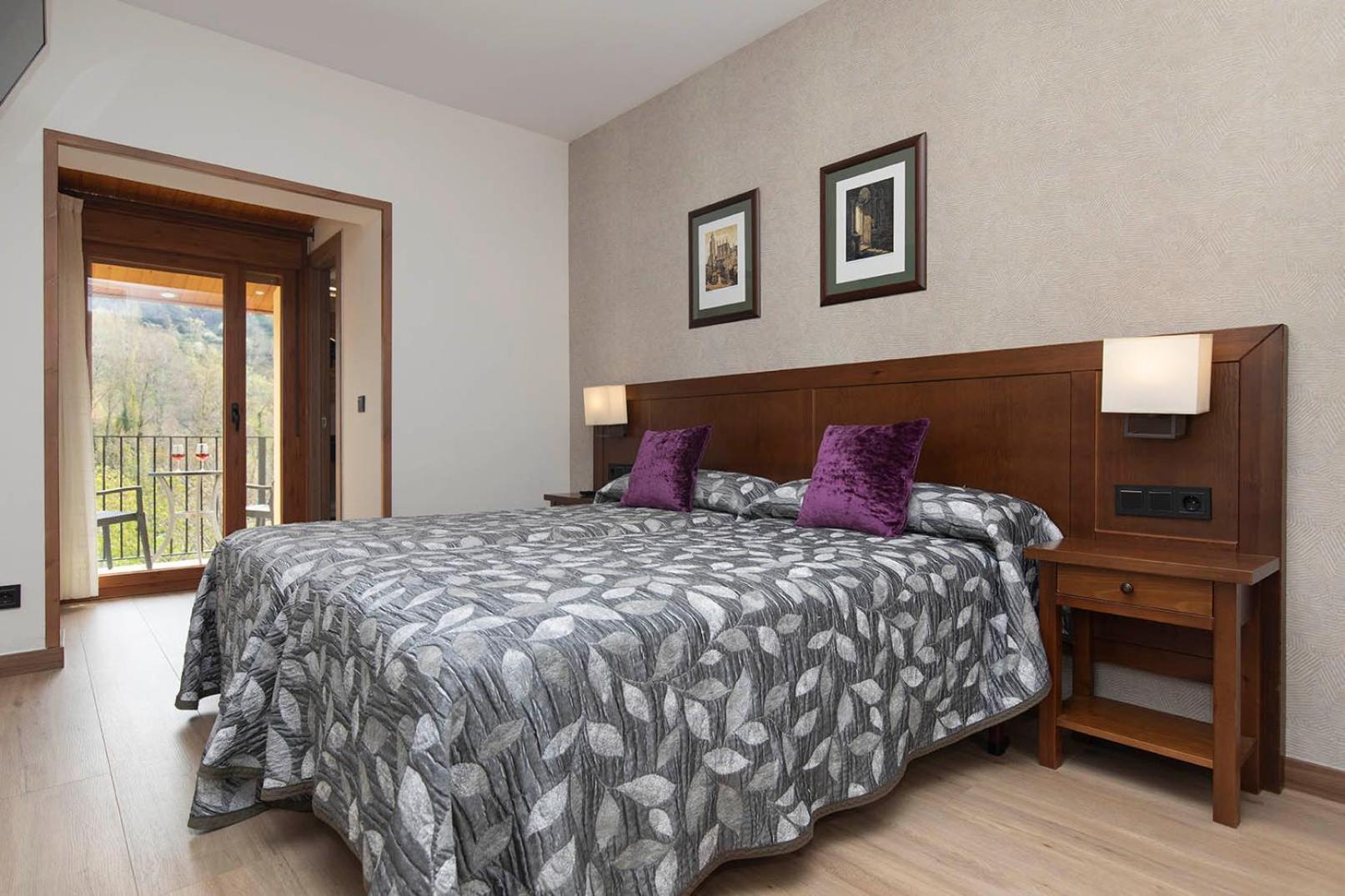 Superior Double or Twin Room Mountain View