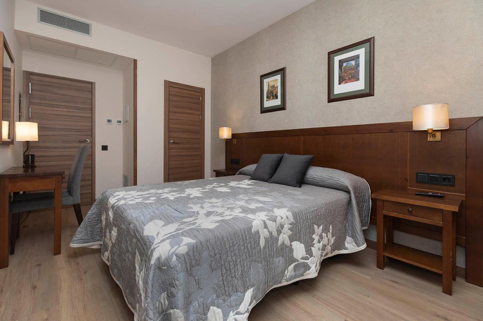 Superior Double or Twin Room Mountain View