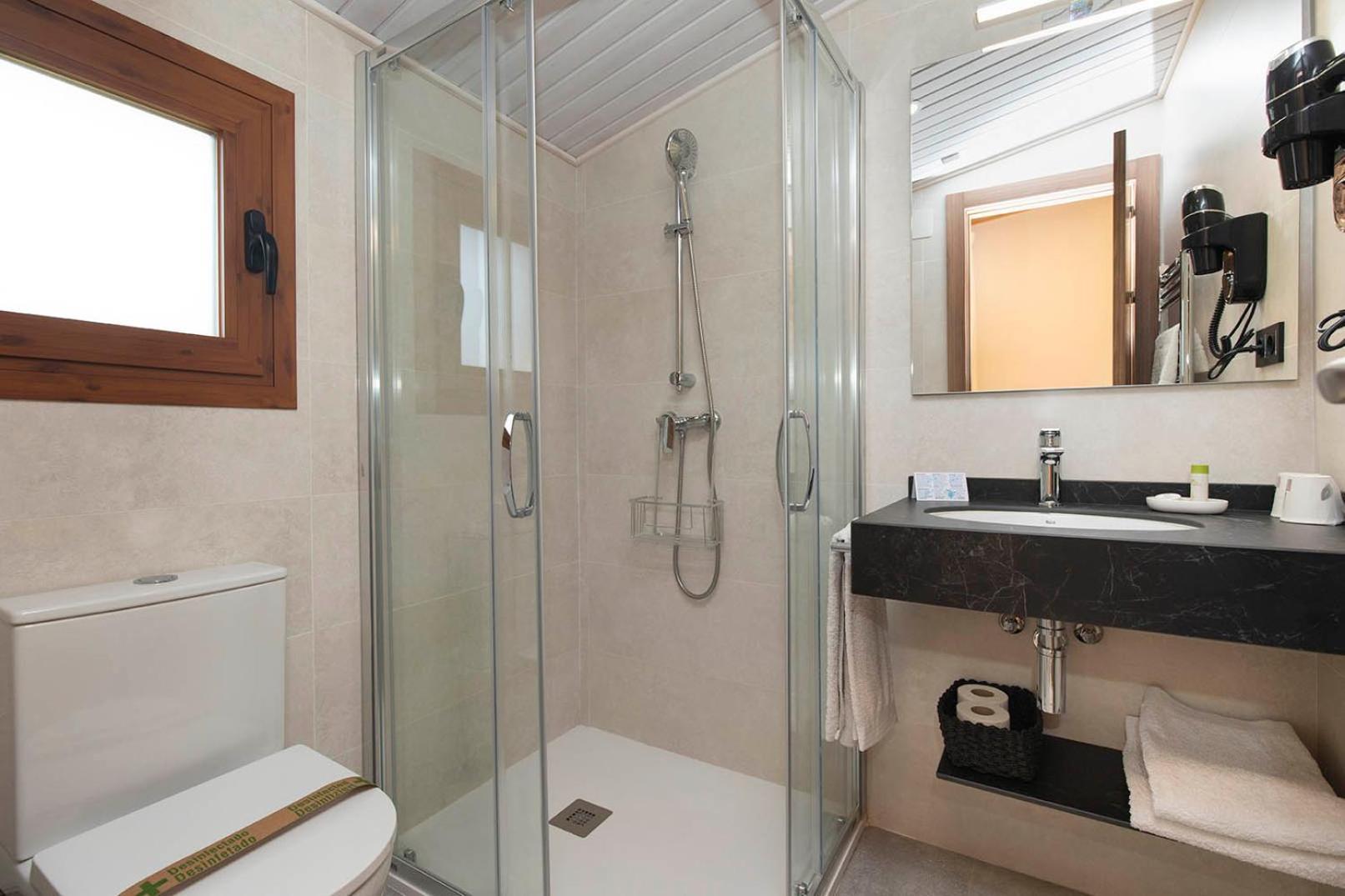 Superior Double or Twin Room Mountain View