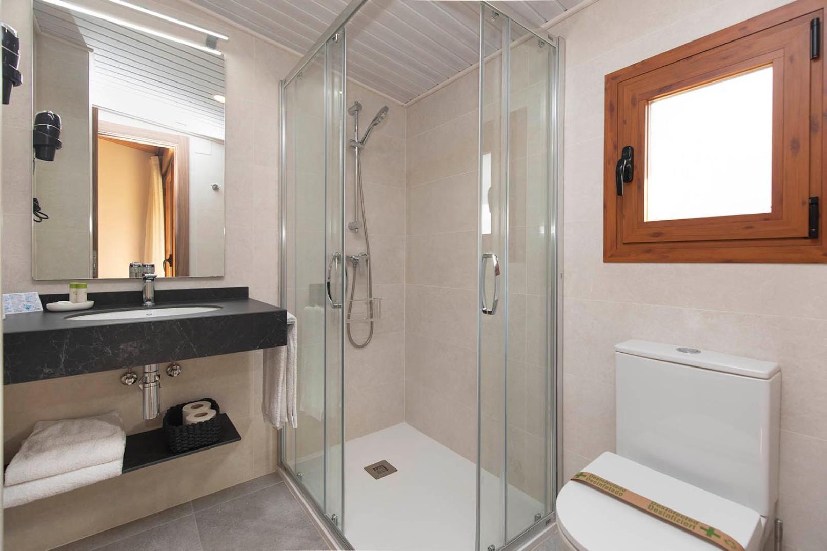 Superior Double or Twin Room Mountain View