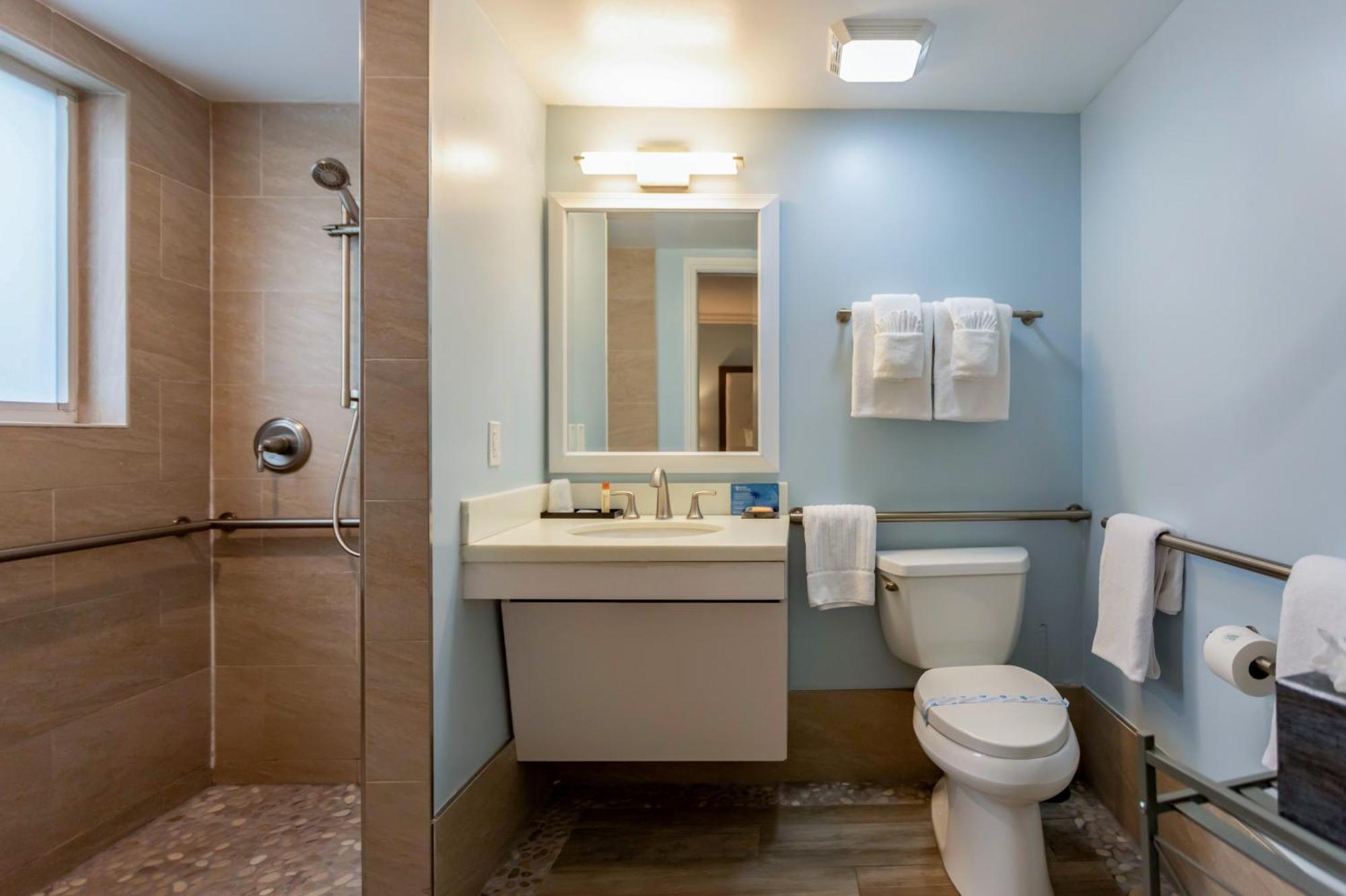 Suite mit 1 Schlafzimmer, barrierefrei (ADA-Norm)