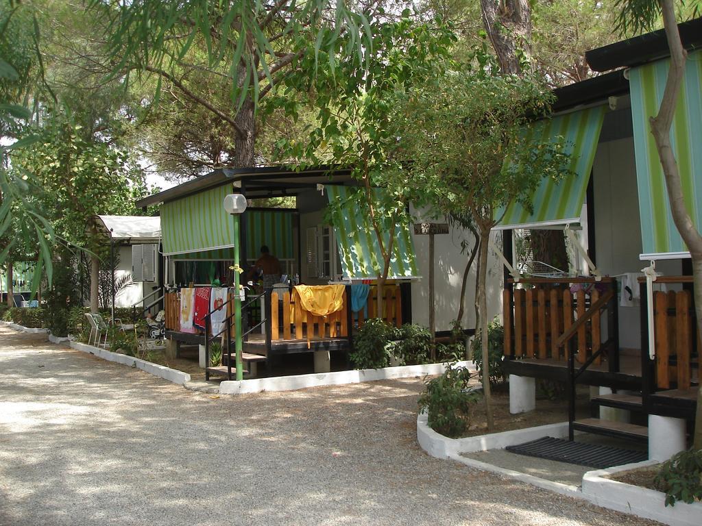 Two-Bedroom Bungalow,215709605:JPEG