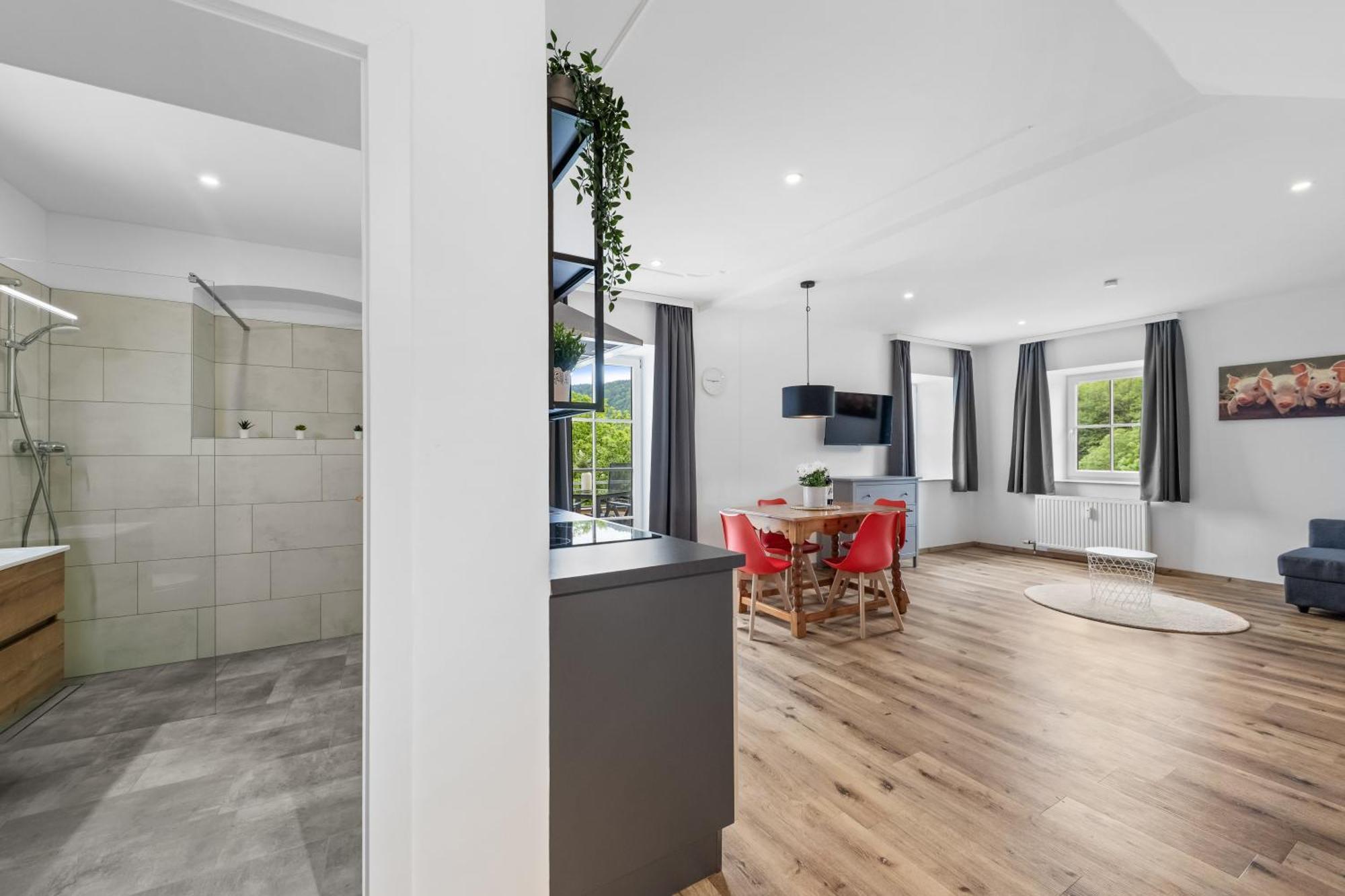 One-Bedroom Apartment Balcony Mountain View