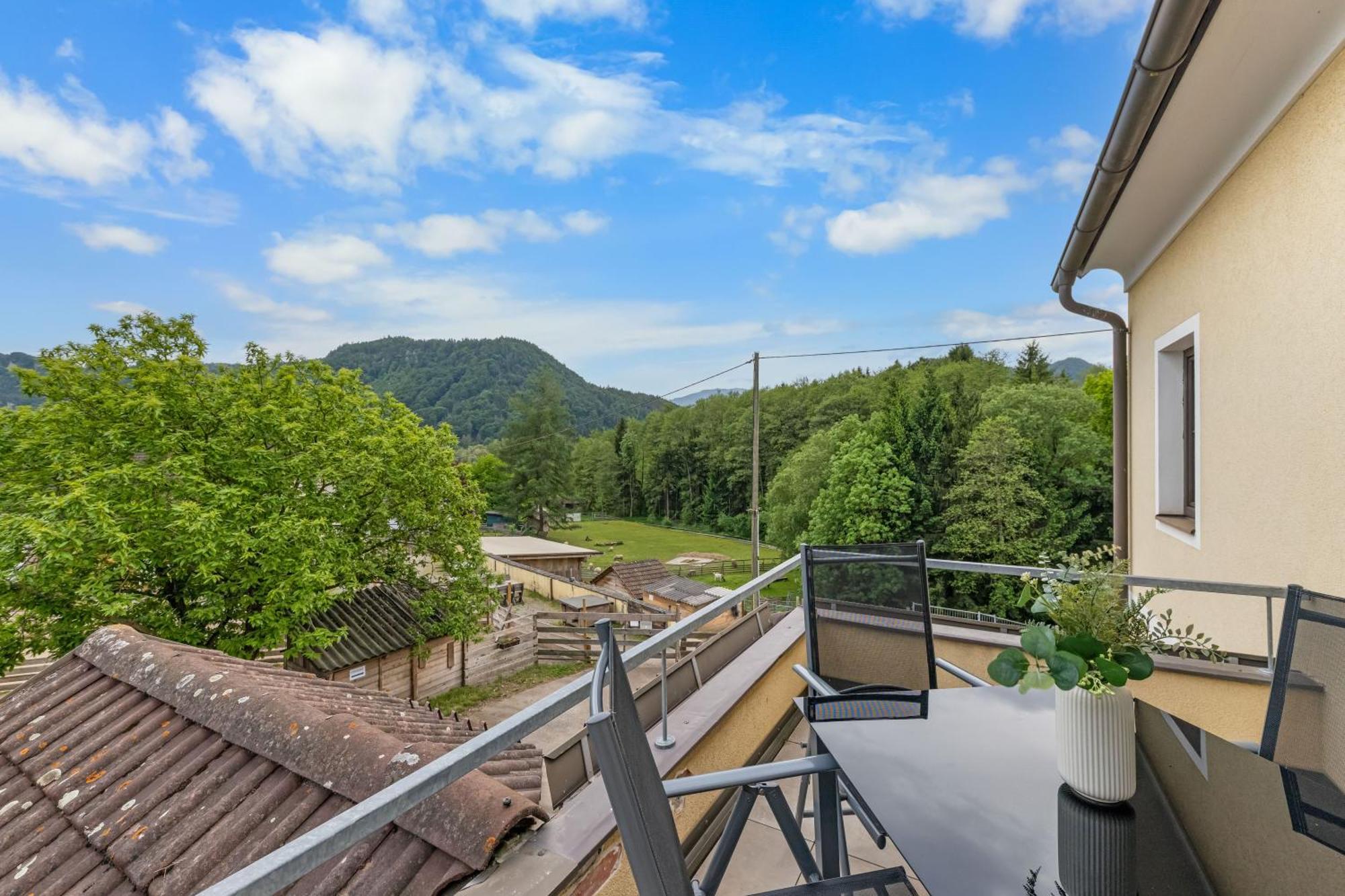 One-Bedroom Apartment Balcony Mountain View