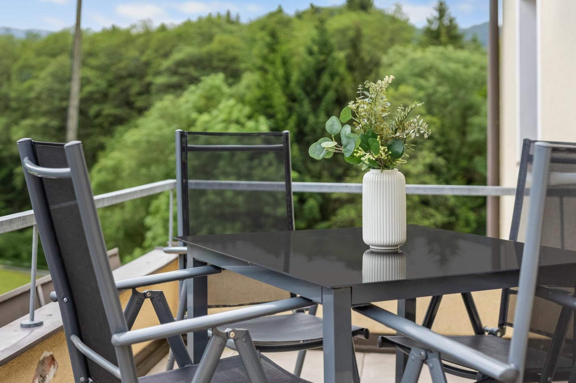 One-Bedroom Apartment Balcony Mountain View