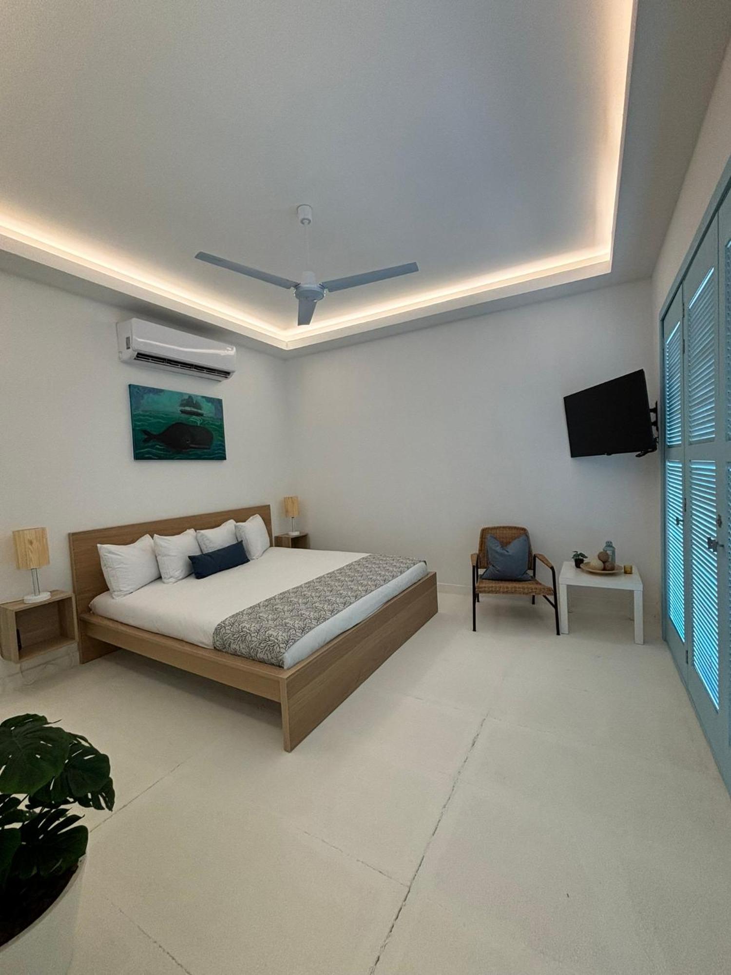 Habitación Deluxe con cama extragrande