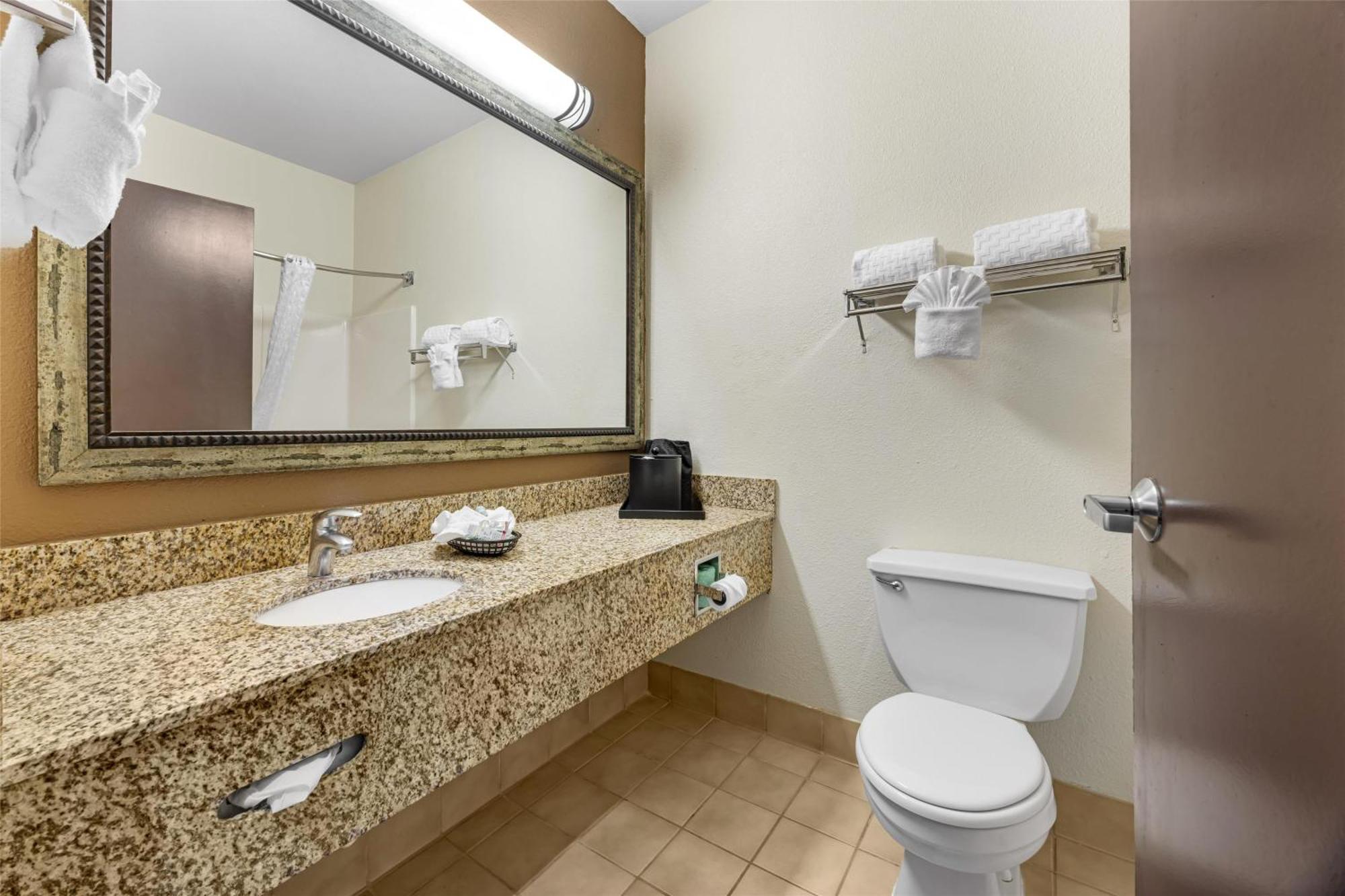 Kamer met Kingsize Bed en Rolstoeltoegankelijke Douche - Toegankelijk voor Gasten met een Lichamelijke Beperking / Rookvrij