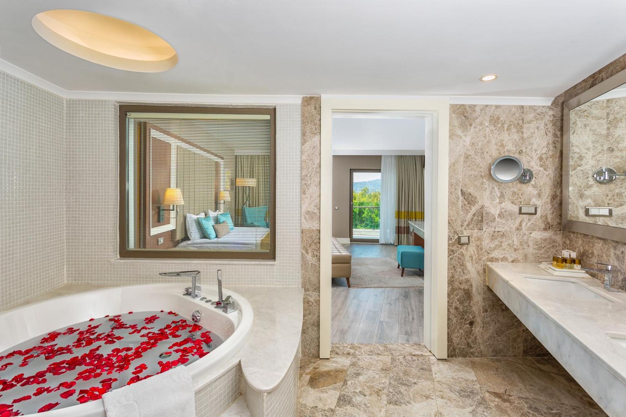 Suite Mountain View