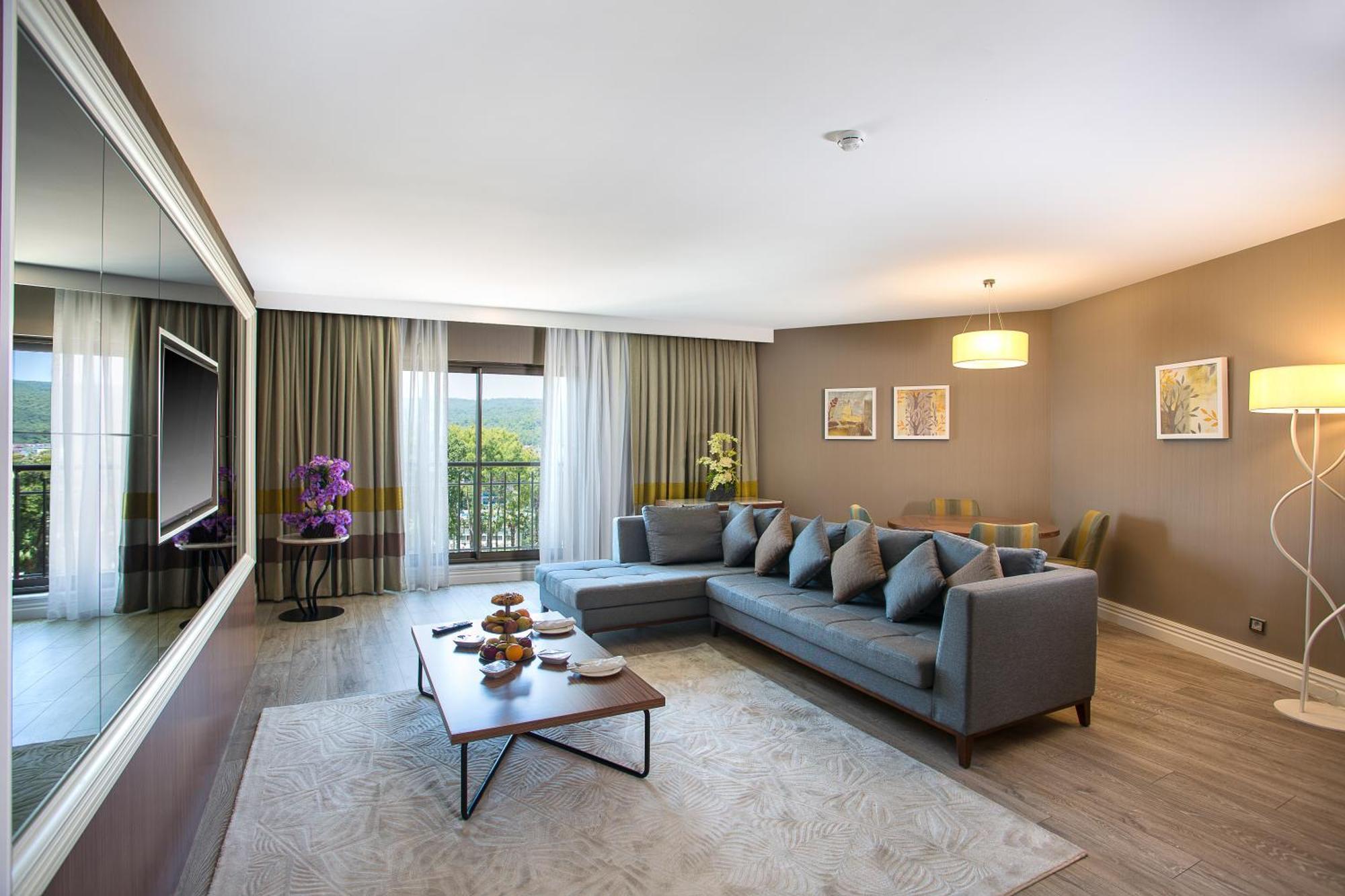 Suite Mountain View