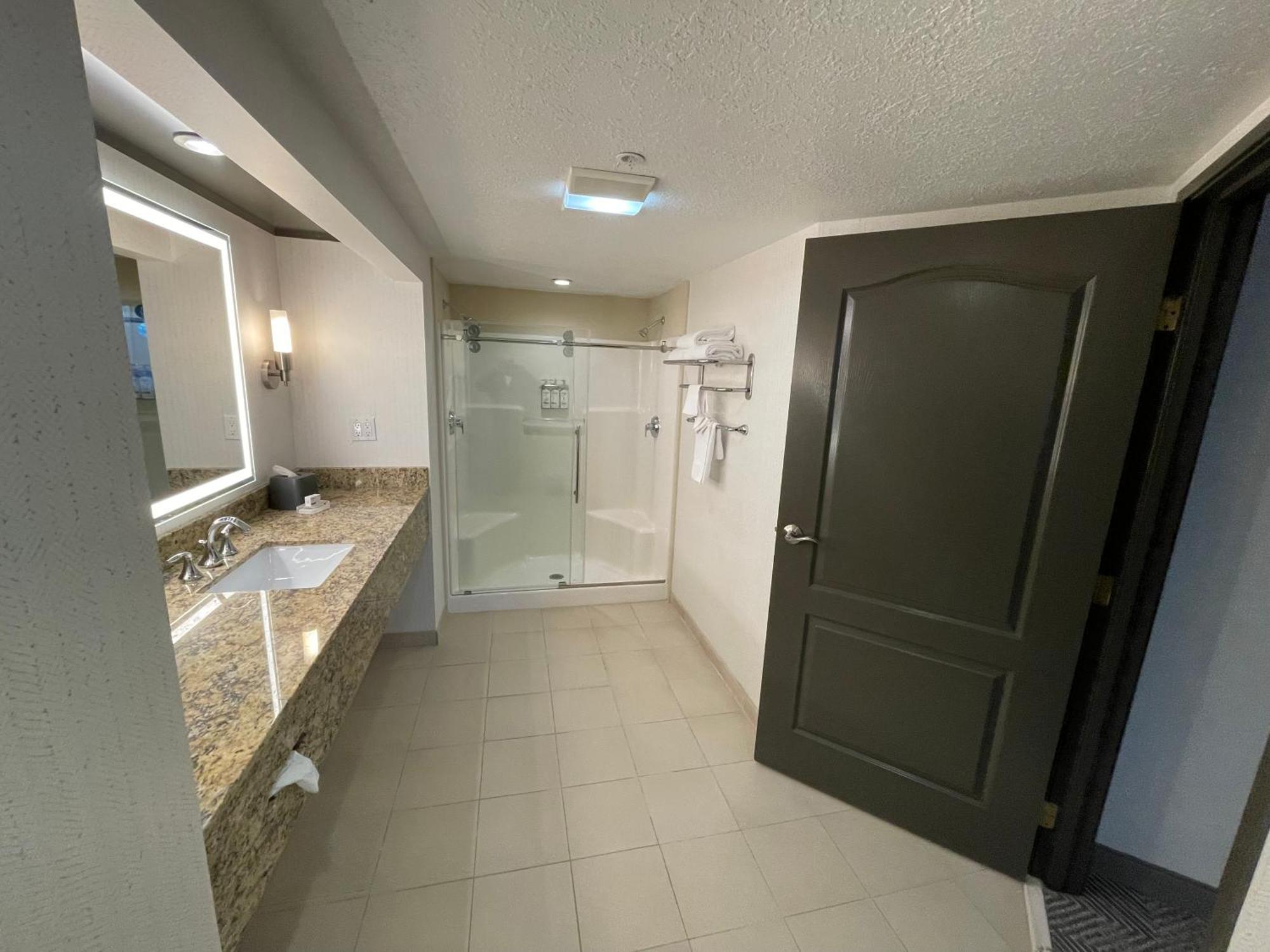 Executive Suite Shower Non-Smoking