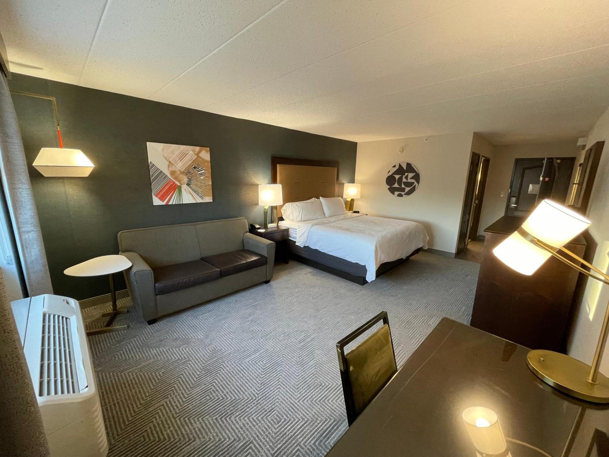 Standard King Room Sofa Bed