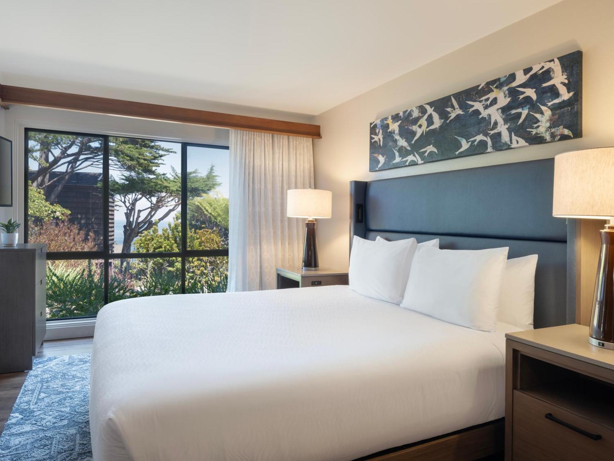 Habitación Estándar con 1 cama extragrande y vistas al jardín