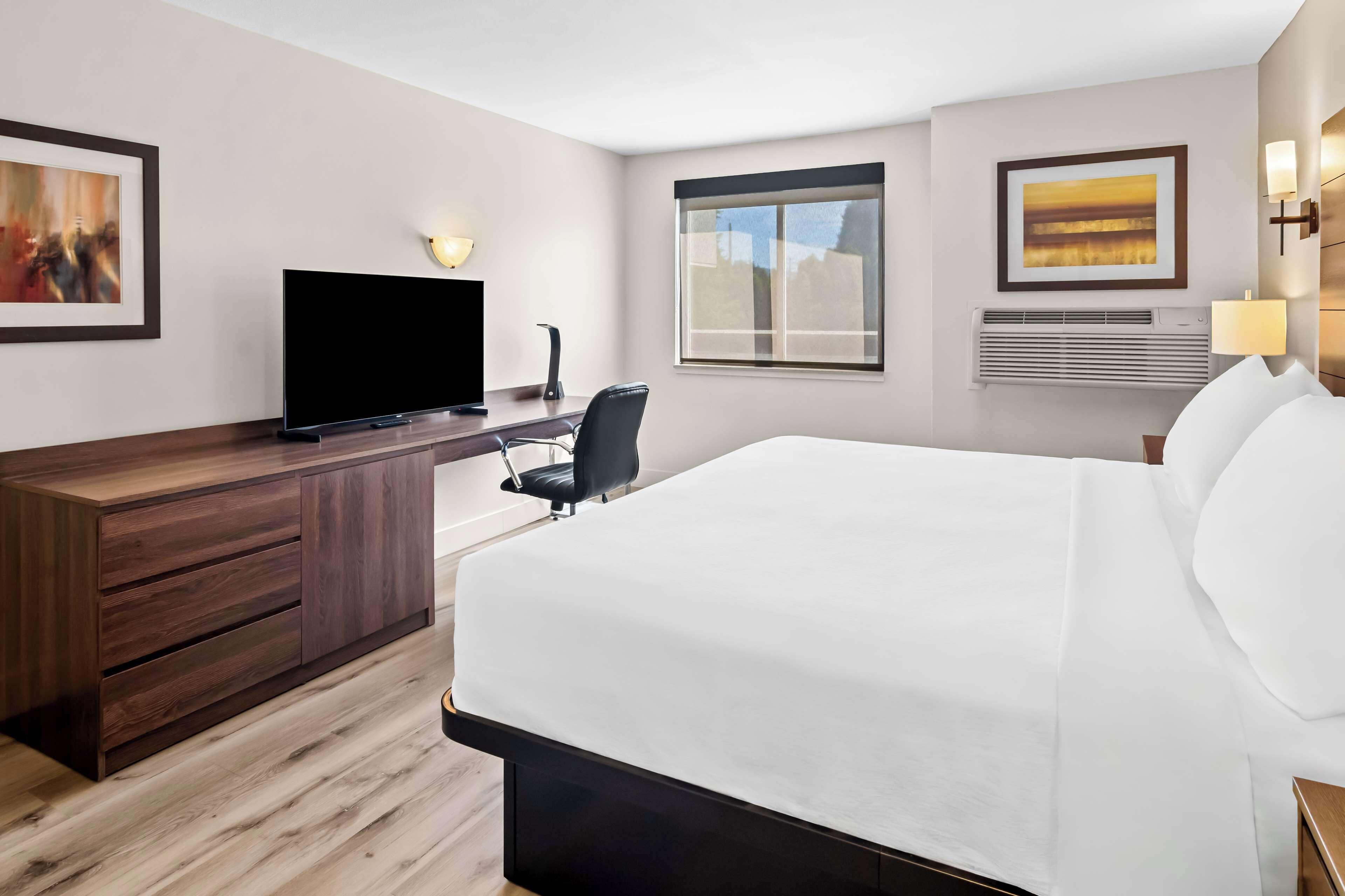 One-Bedroom King Suite with Sofa Bed - Non-Smoking