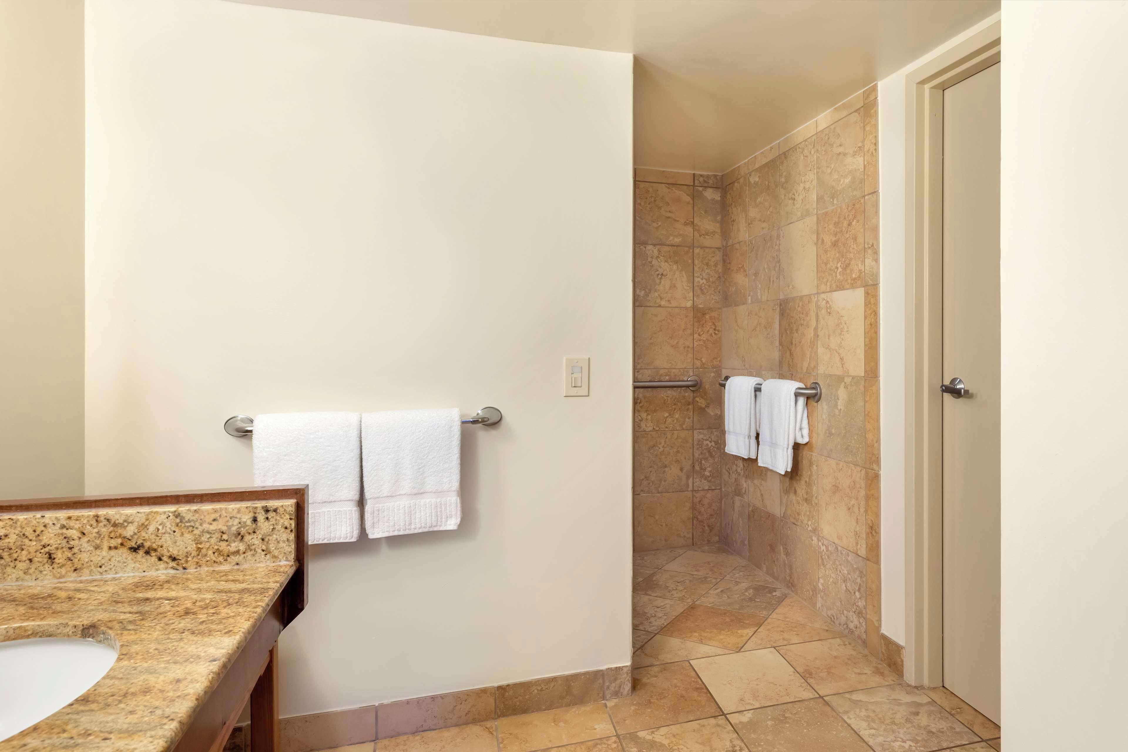 One-Bedroom King Suite Roll Shower