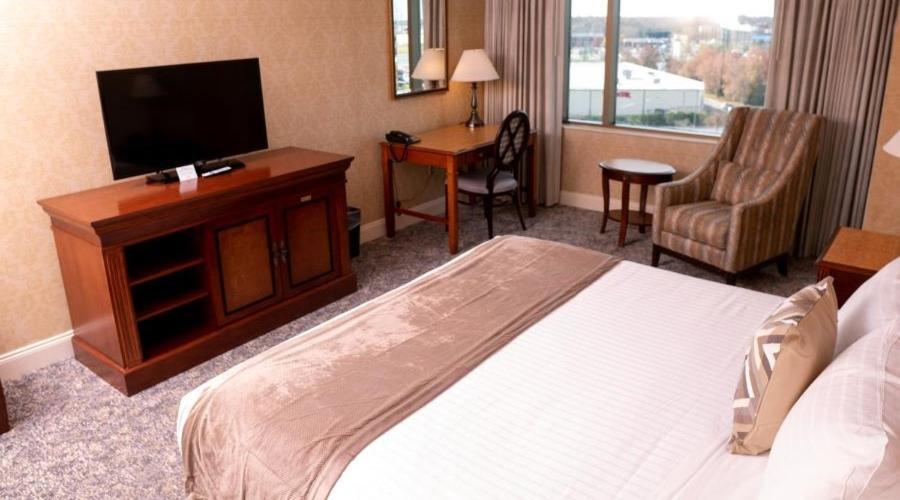 Kamer met Kingsize Bed