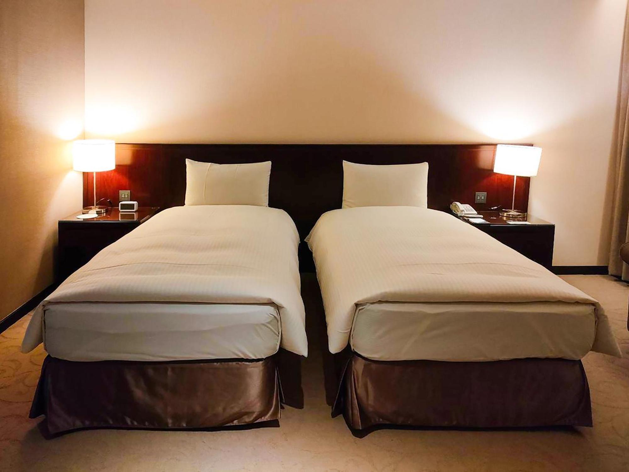 Twin Room Disability Access No window