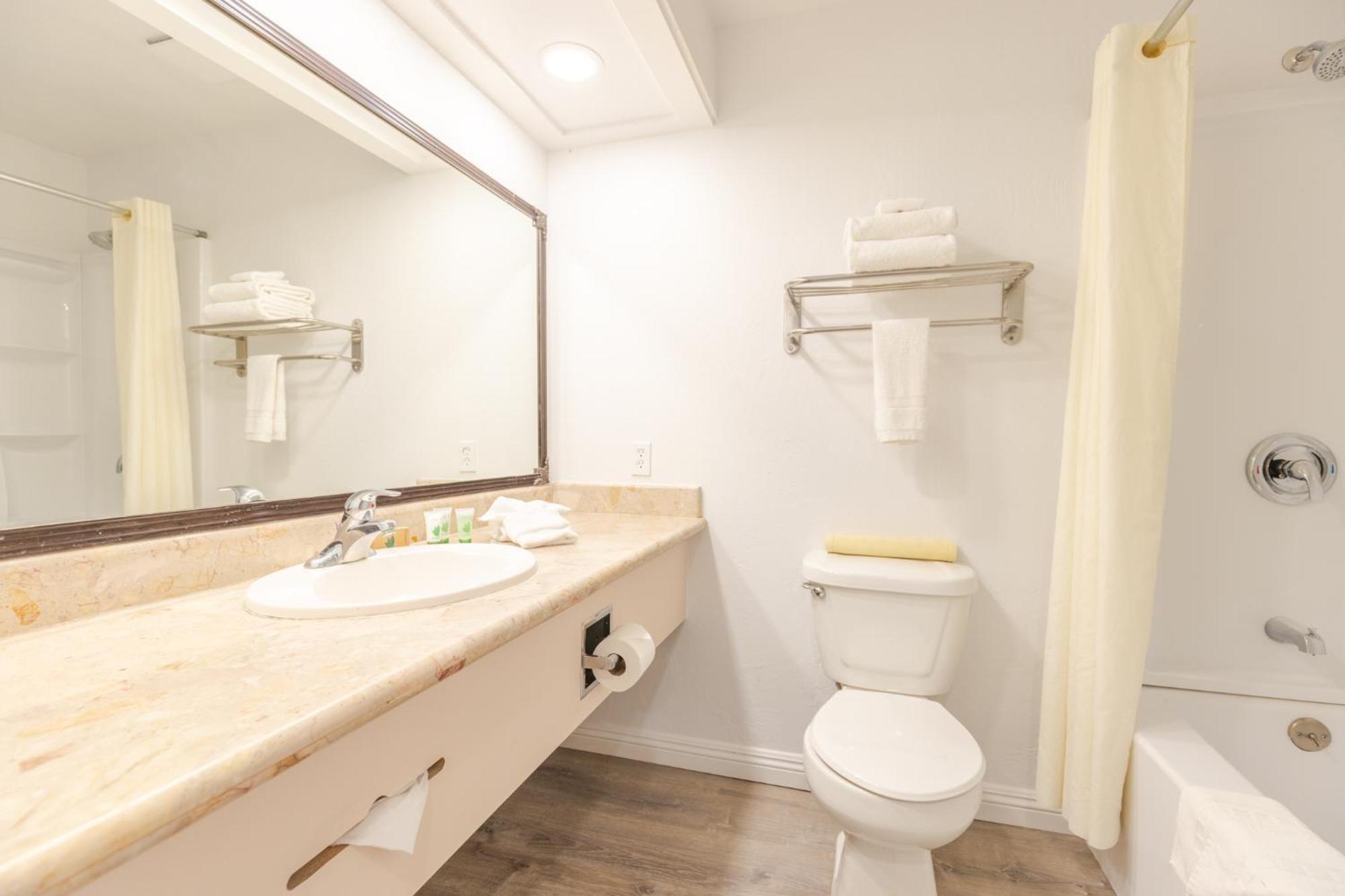Suite Executive
