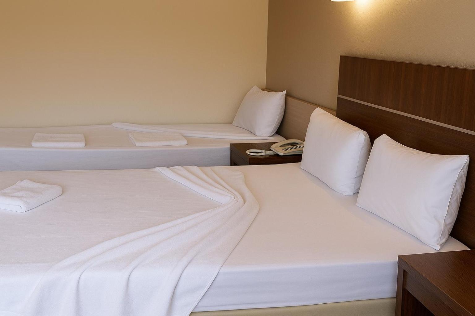 Chambre Double ou Lits Jumeaux Économique