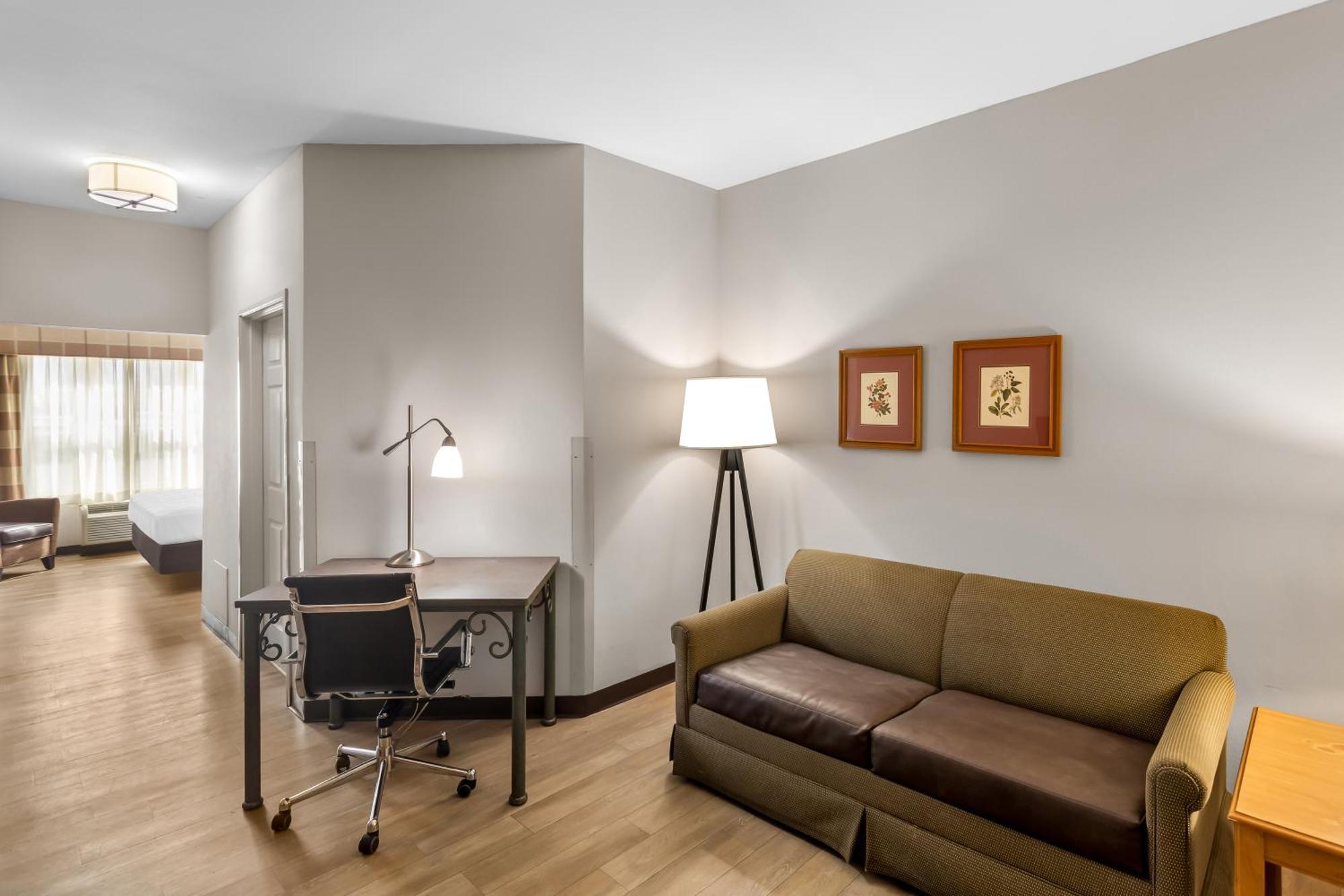 King Suite Sofa Bed Pet Friendly,1746892704:JPEG
