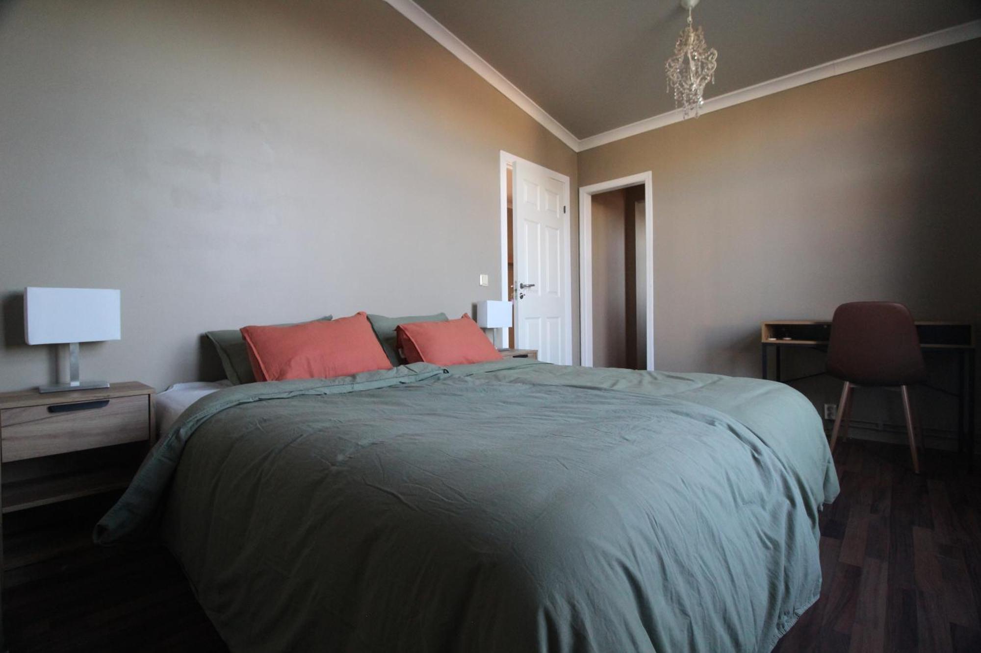 Deluxe Double Room Shower