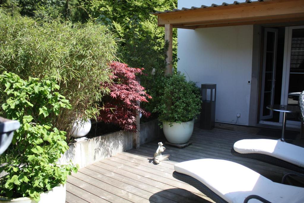 Junior Suite with Spa Water Bed and Terrace