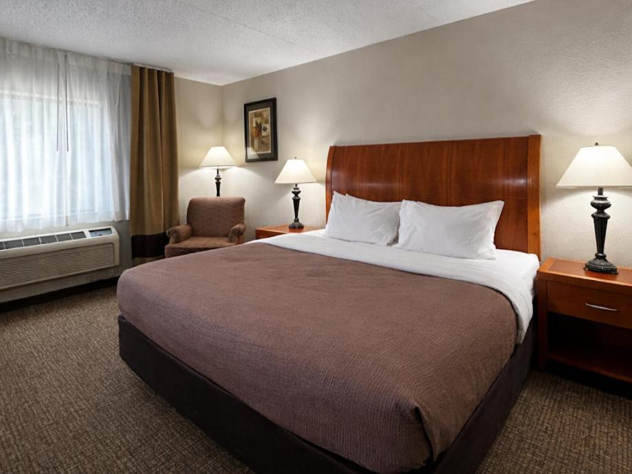 Business King Room - Pet Friendly