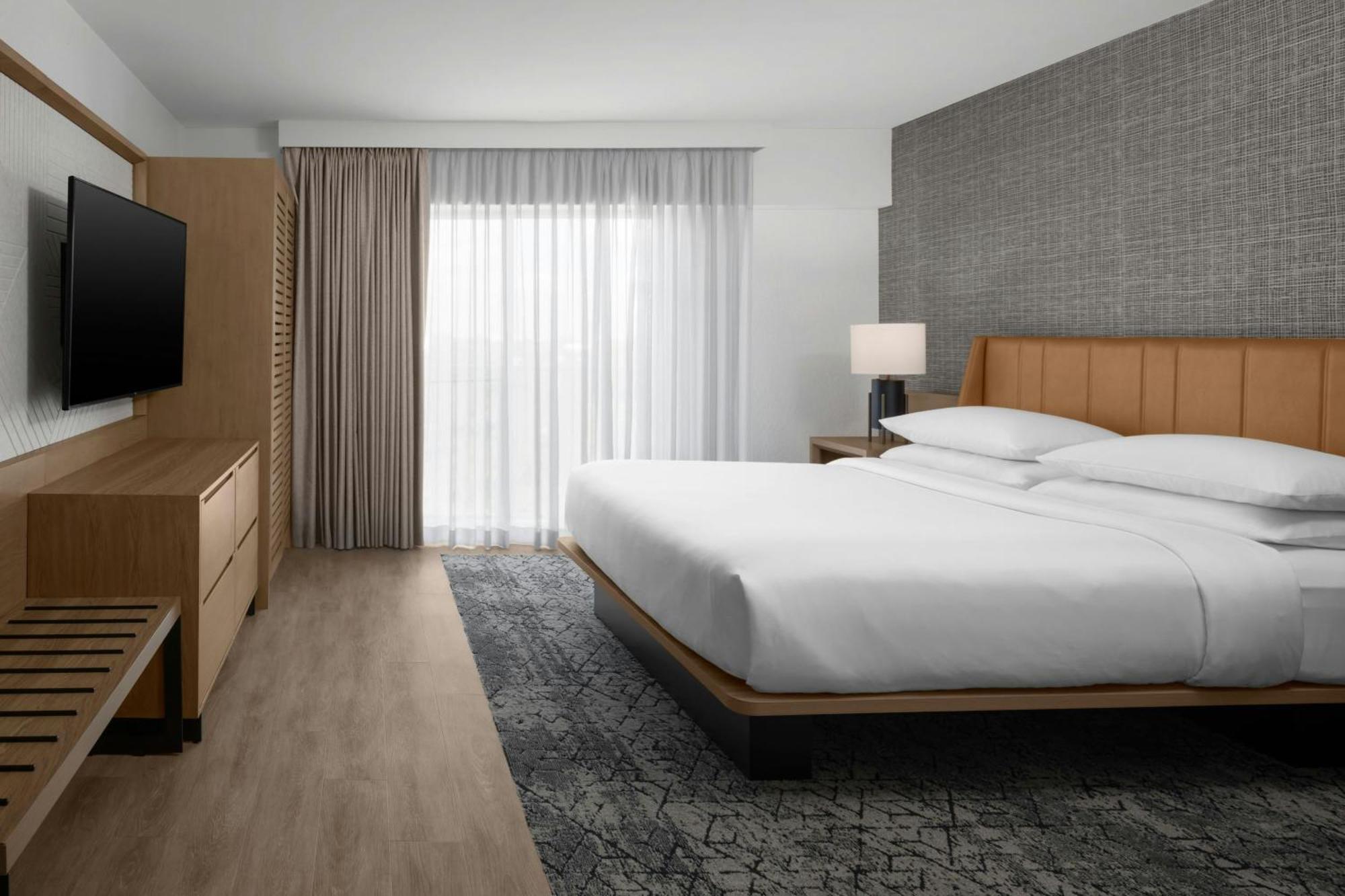 Suite, 1 King, Sofa bed