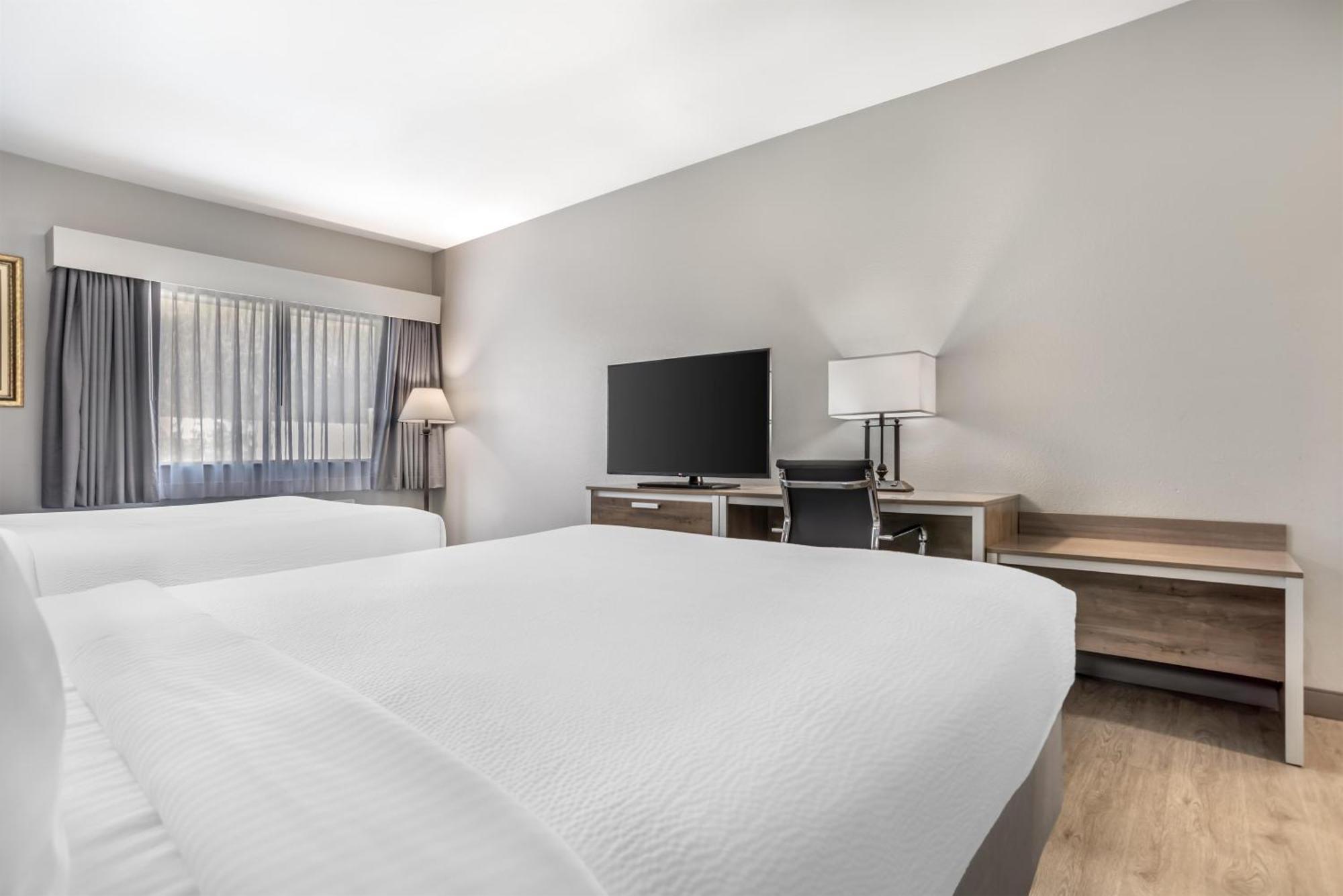 Kamer met 2 Queensize Bedden - Rookvrij