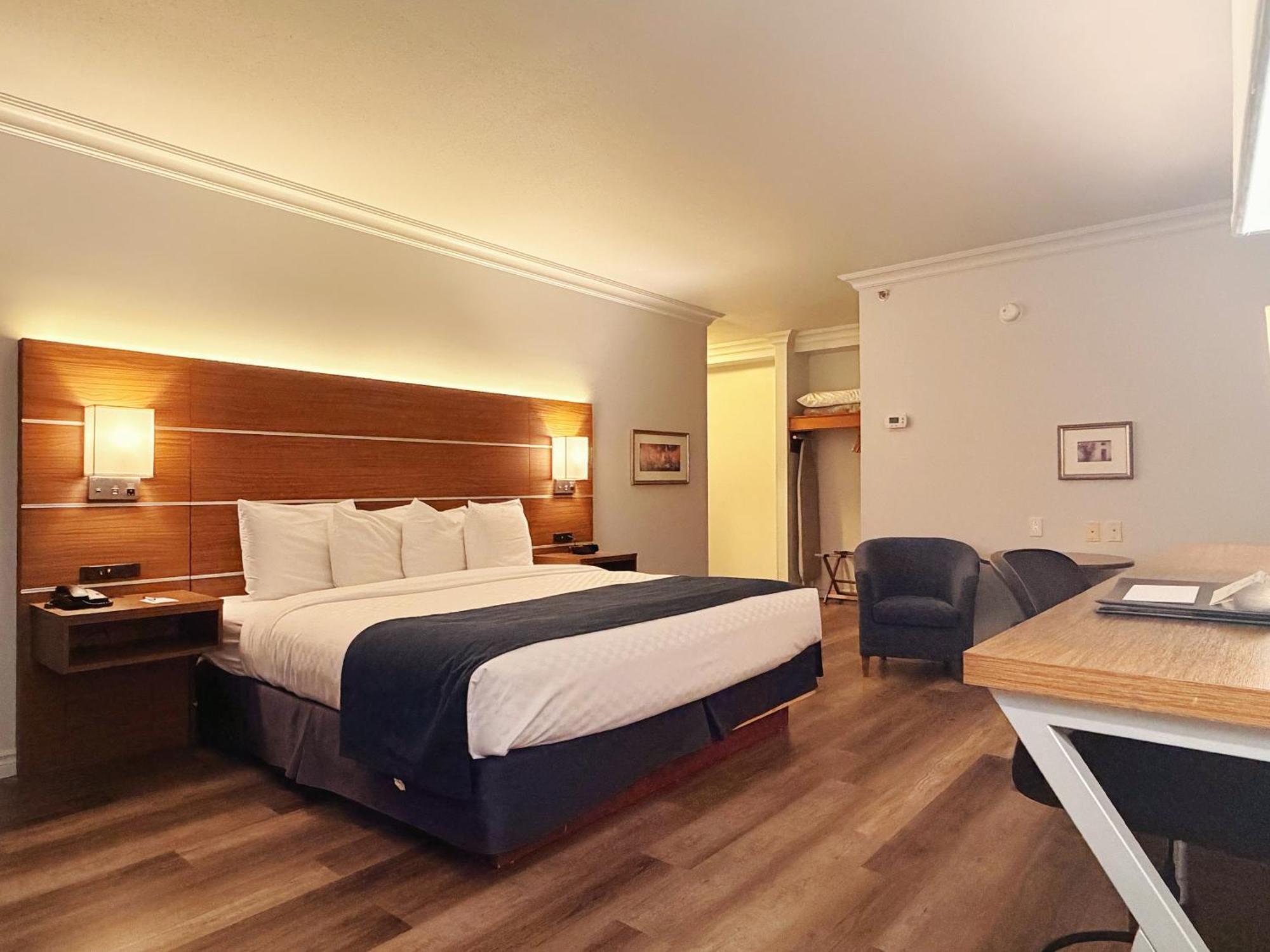 Chambre Lit King-Size Privilège - Vue sur Extérieur