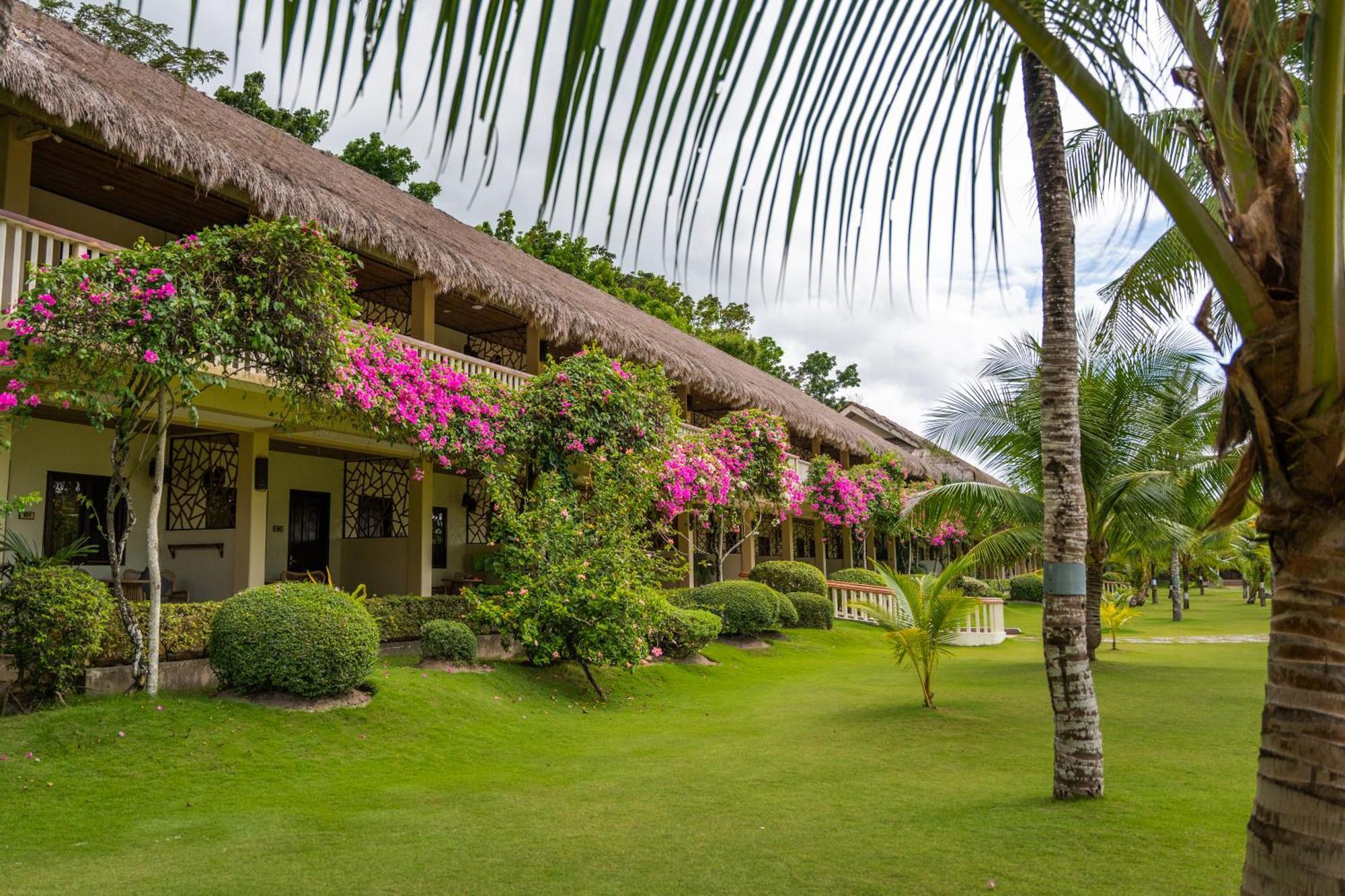 Deluxe Green Double or Twin Room
