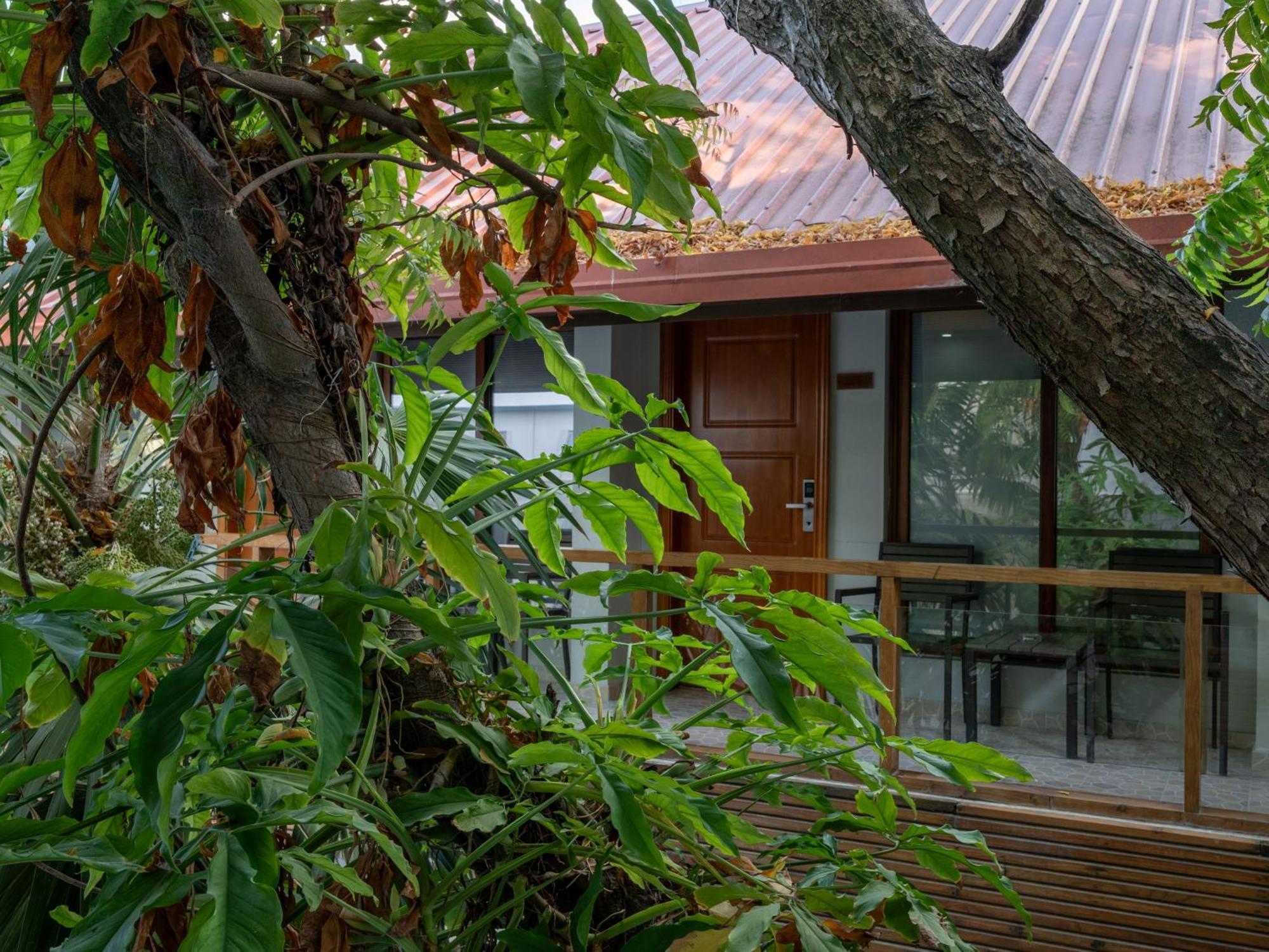 Deluxe Double Room Pool View Return Speed Boat Transfer Sand Bank Excursion & Dolphin Watching