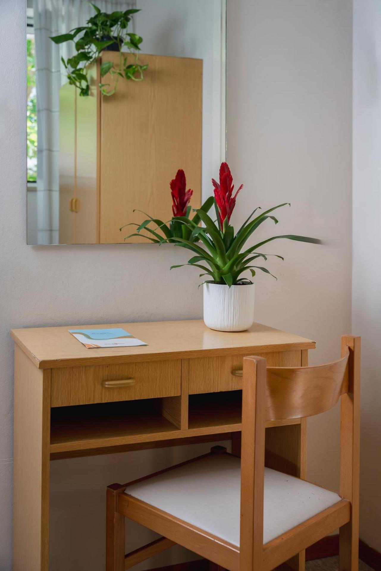 Habitación Individual