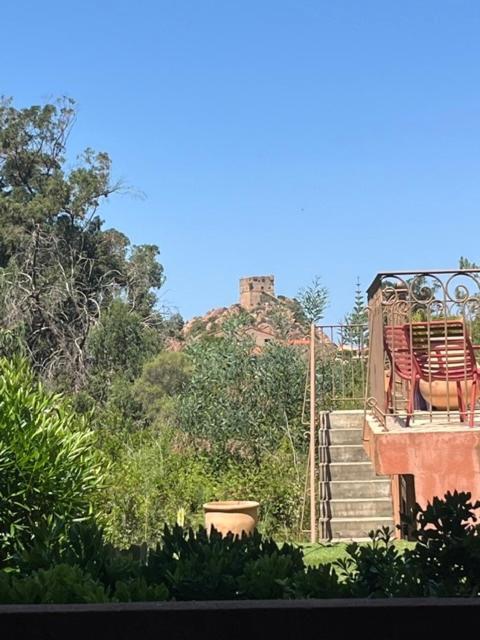 Studio Garden View