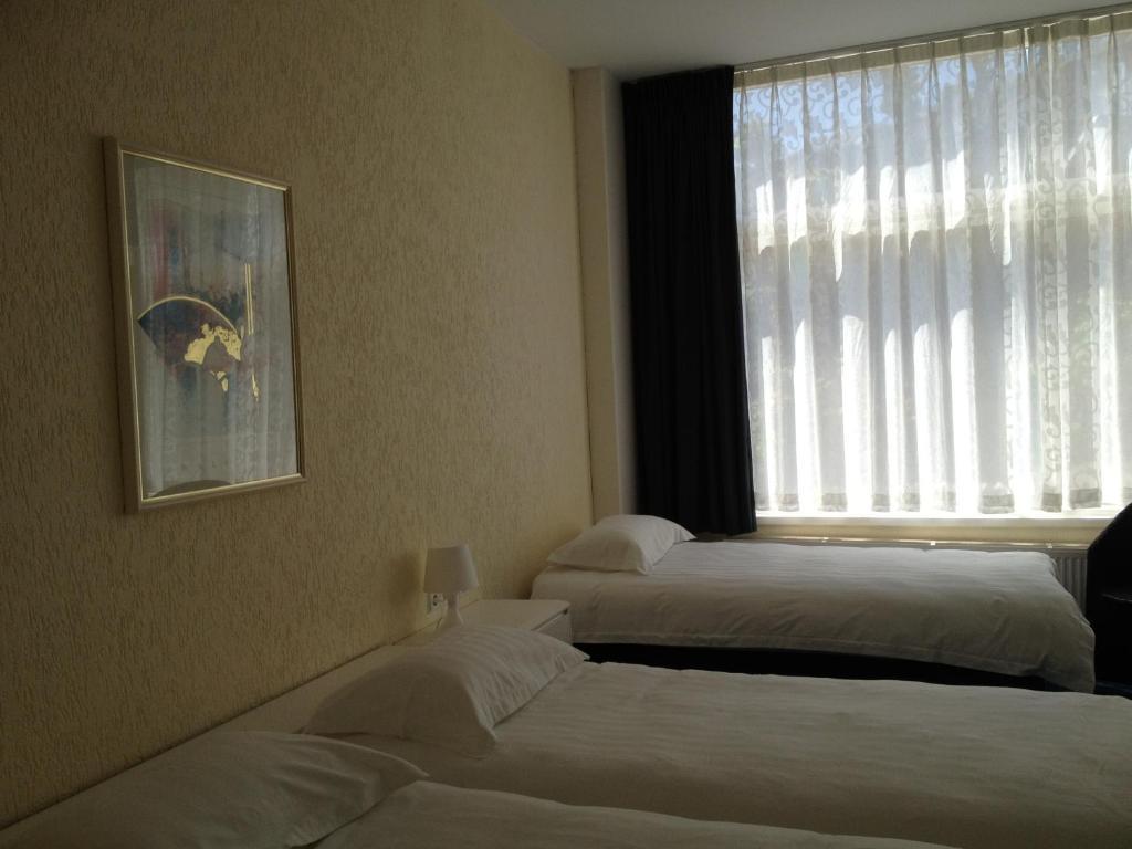 Basic Driepersoonskamer met Gedeelde Badkamer (in Souterrain)