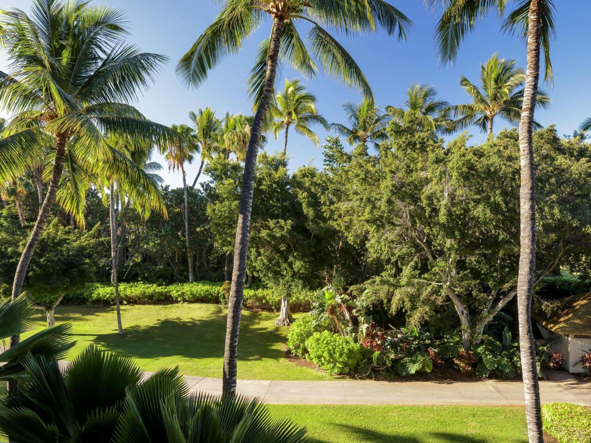 Fairmont King Room Garden View